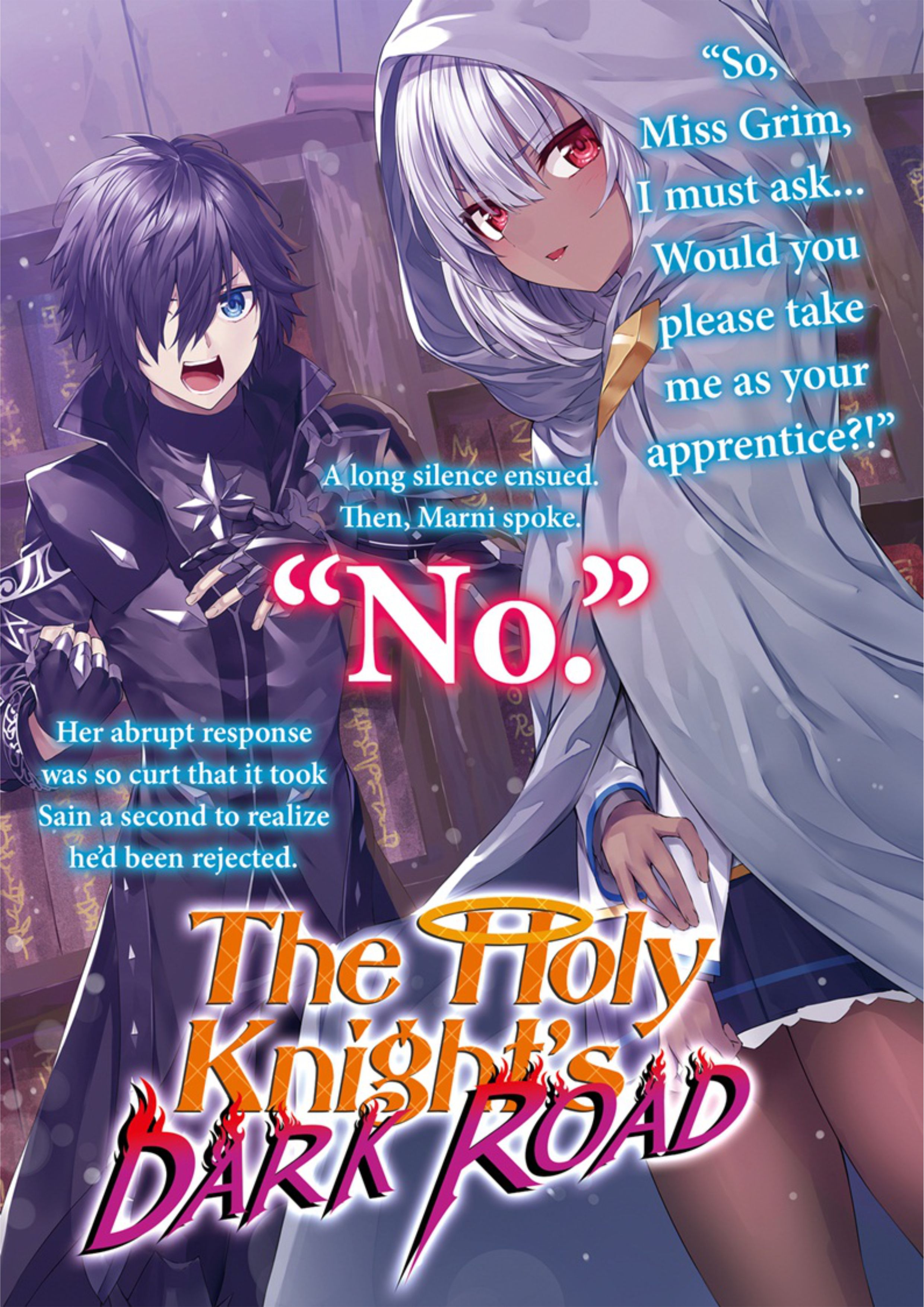 Seinaru Kishi no Ankokudou V2 Illustration - Megumi Novel