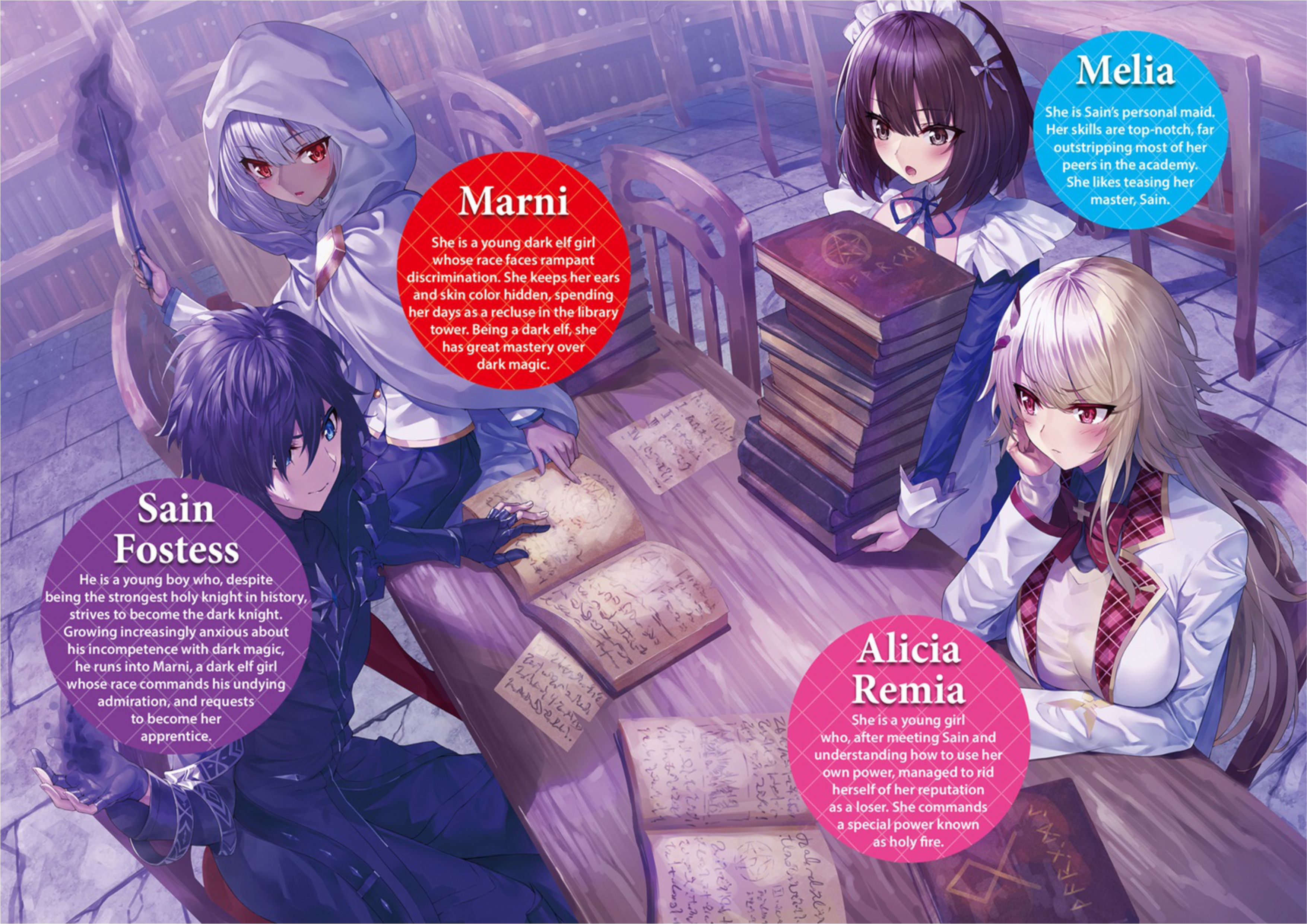 Seinaru Kishi no Ankokudou V2 Illustration - Megumi Novel