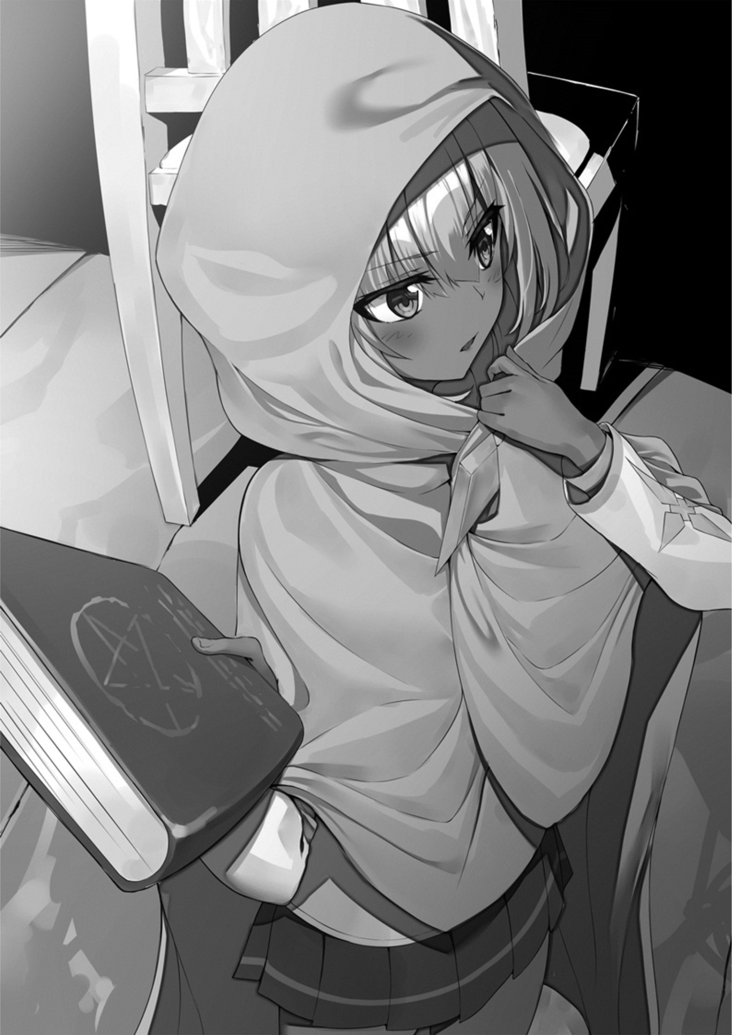 Seinaru Kishi no Ankokudou V2 Illustration - Megumi Novel