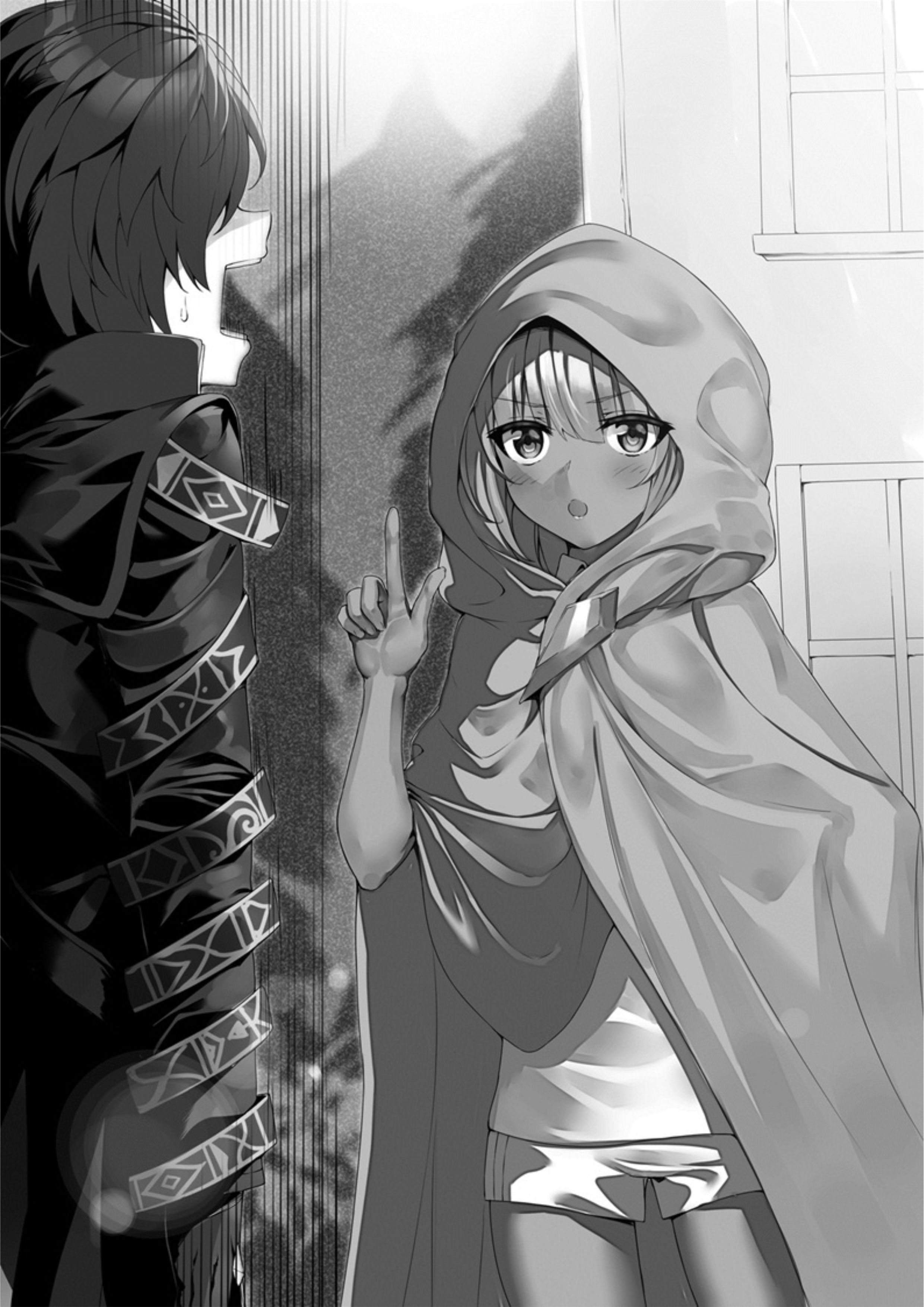 Seinaru Kishi no Ankokudou V2 Illustration - Megumi Novel