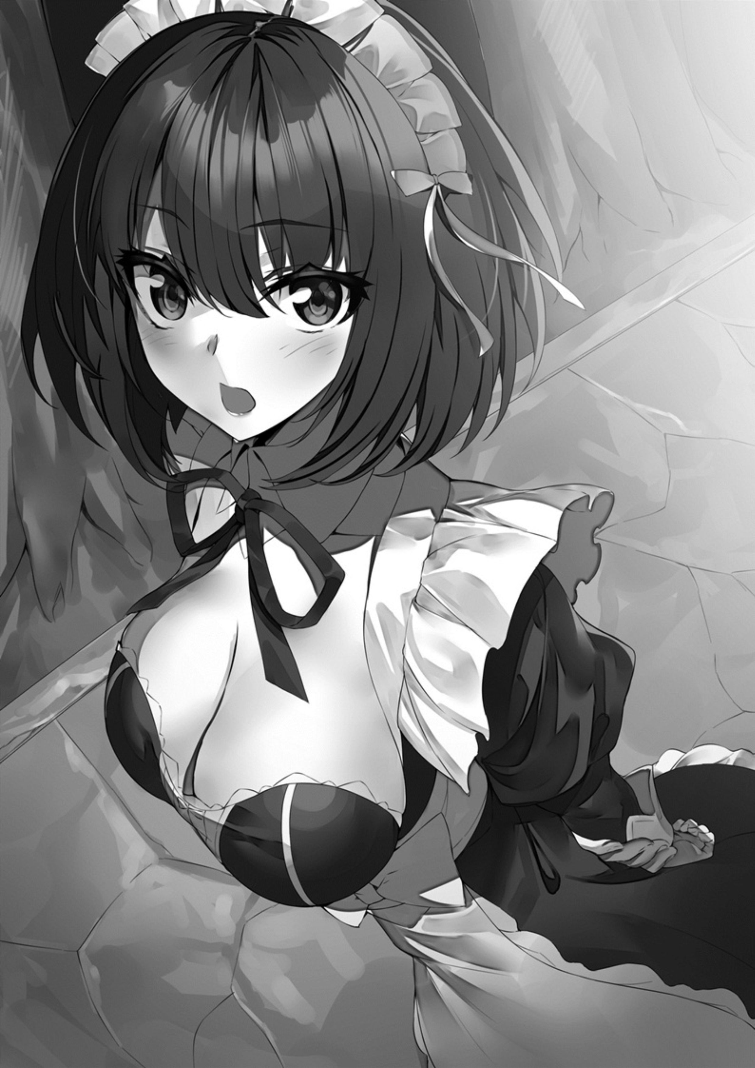 Seinaru Kishi no Ankokudou V2 Illustration - Megumi Novel