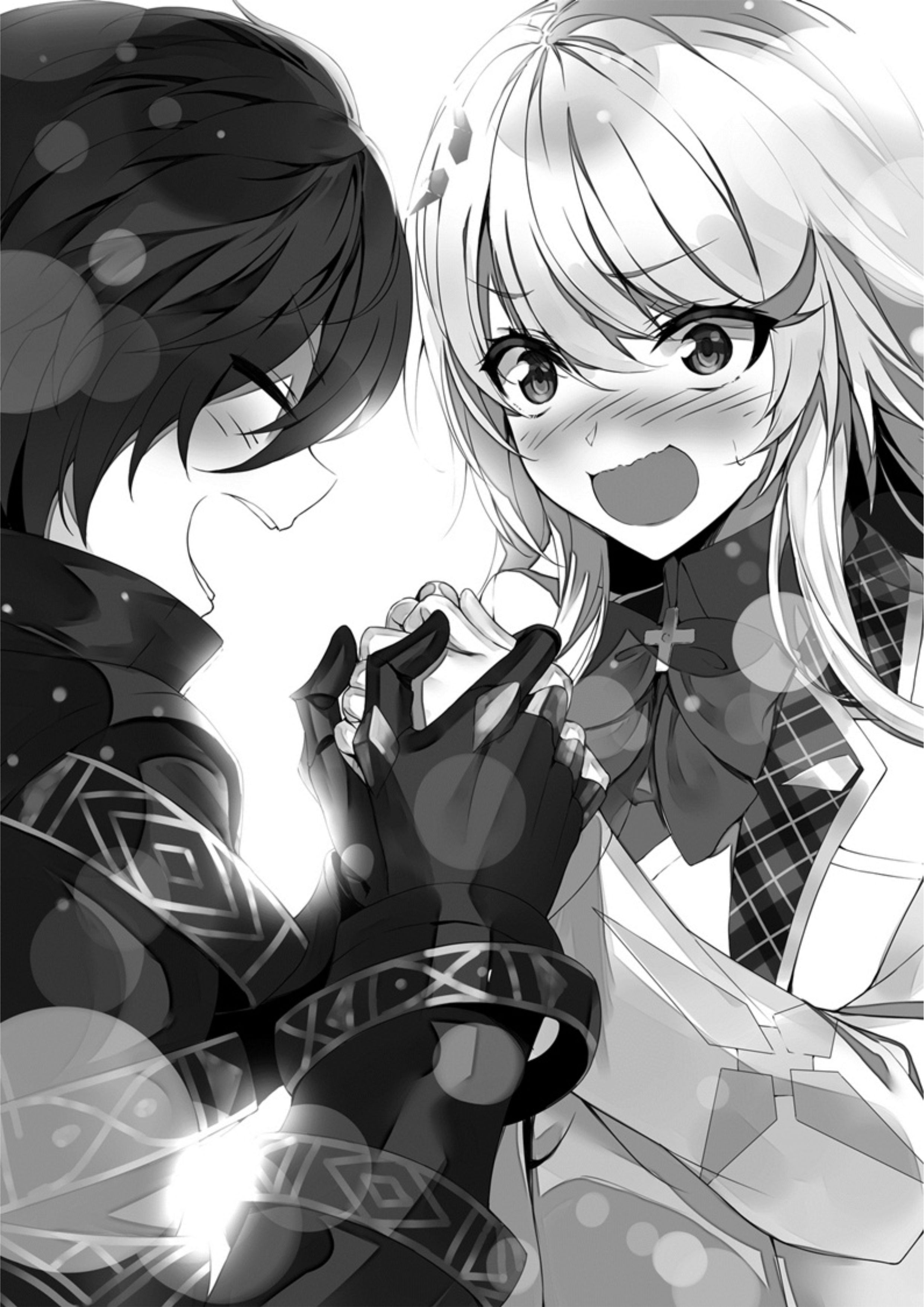 Seinaru Kishi no Ankokudou V2 Illustration - Megumi Novel