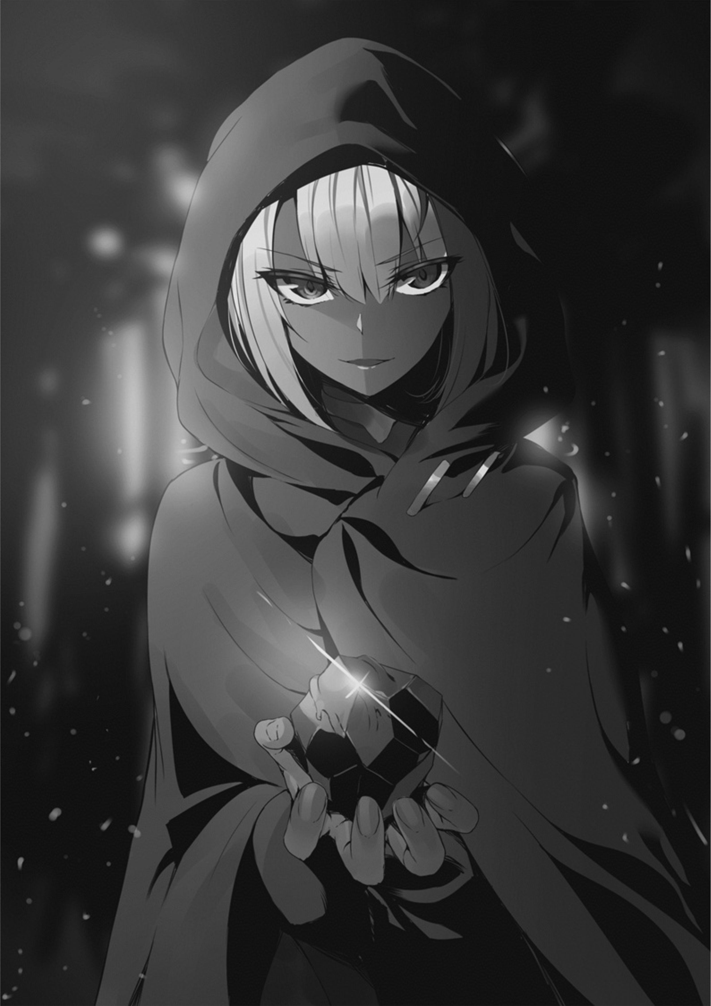 Seinaru Kishi no Ankokudou V2 Illustration - Megumi Novel