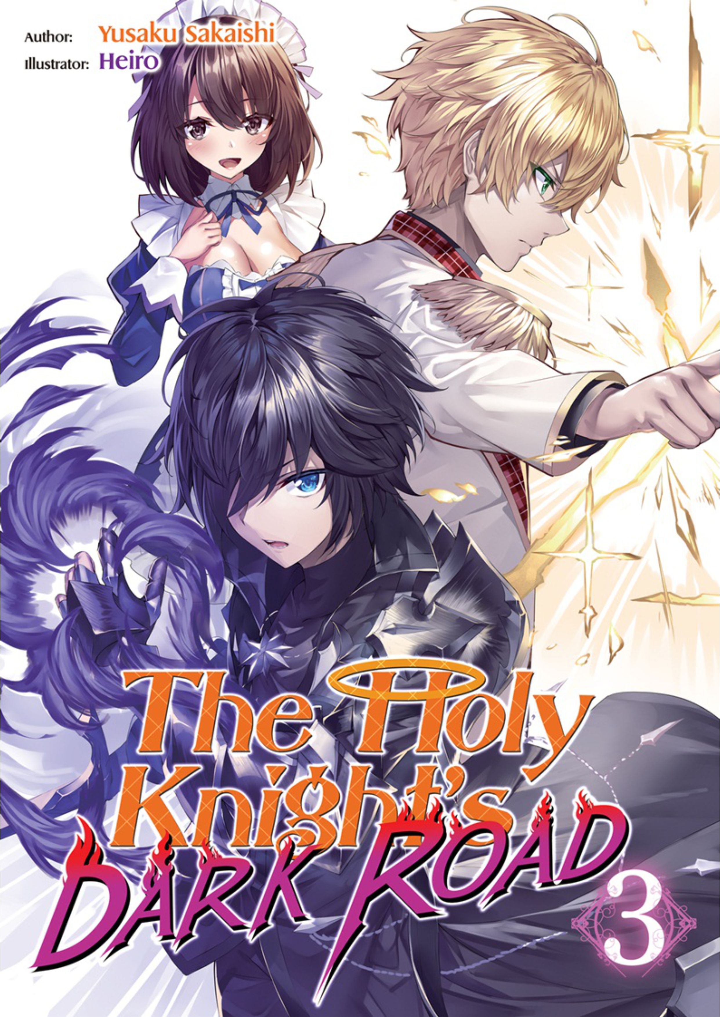 Seinaru Kishi no Ankokudou V3 Illustration - Megumi Novel