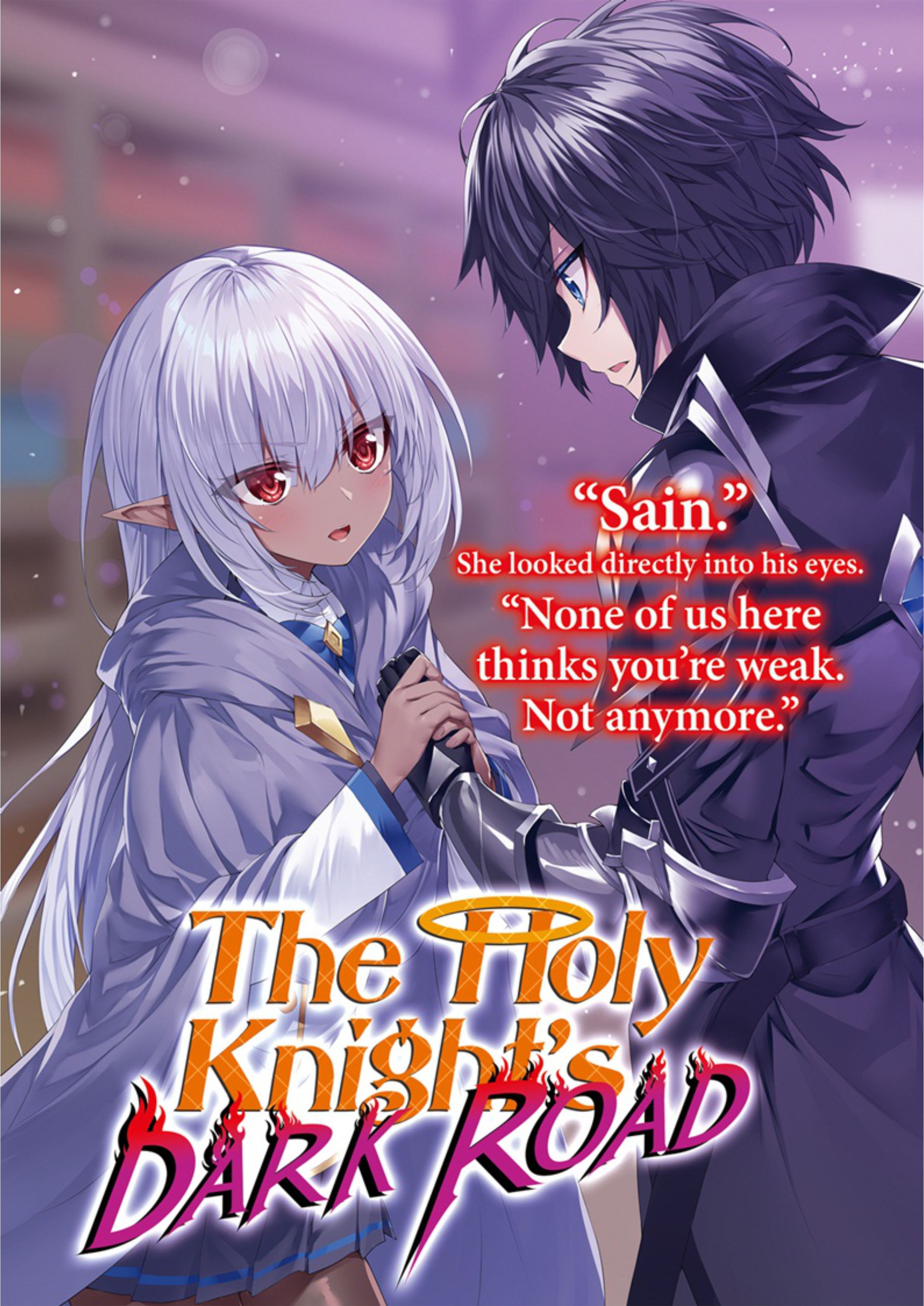 Seinaru Kishi no Ankokudou V3 Illustration - Megumi Novel