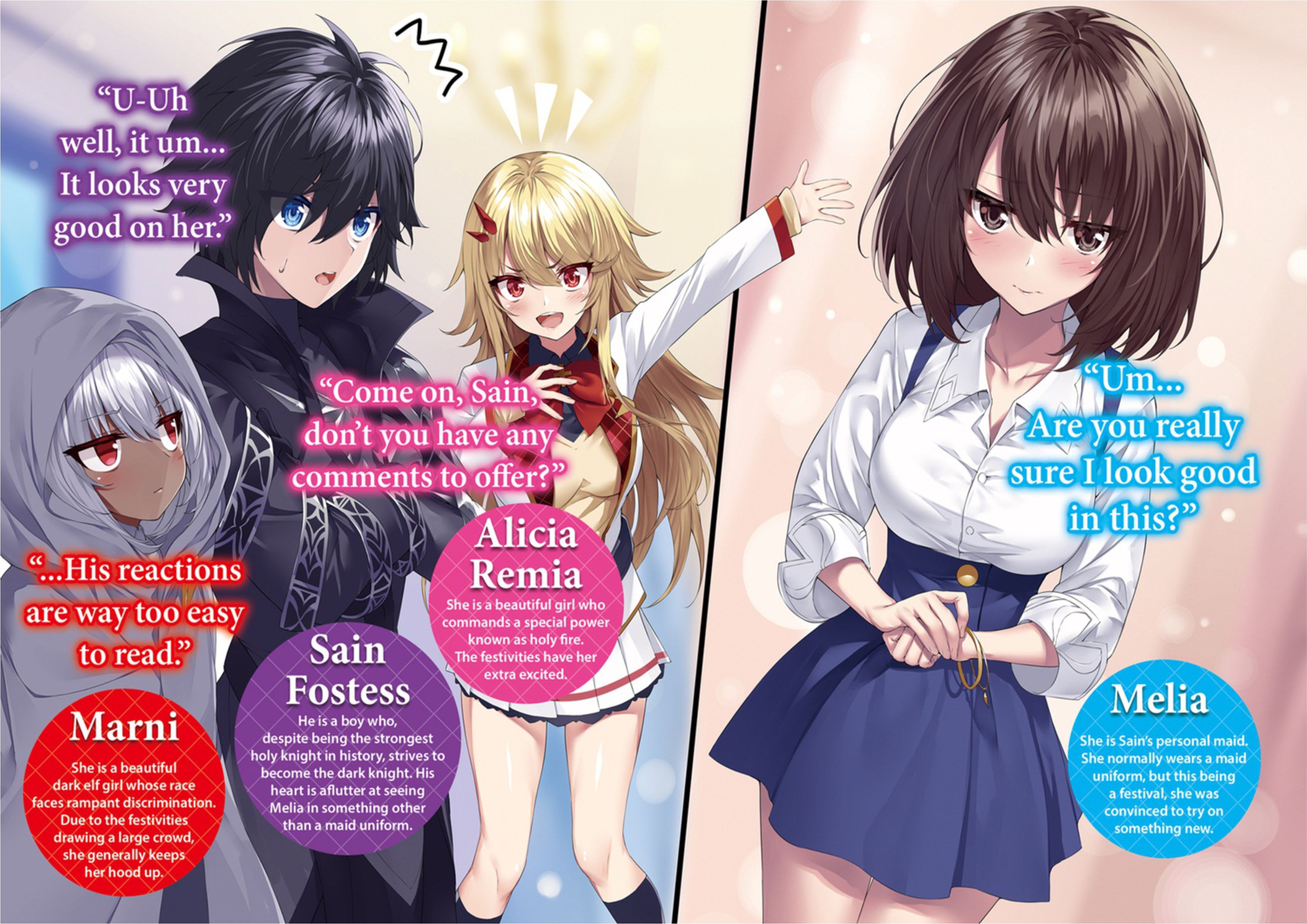 Seinaru Kishi no Ankokudou V3 Illustration - Megumi Novel