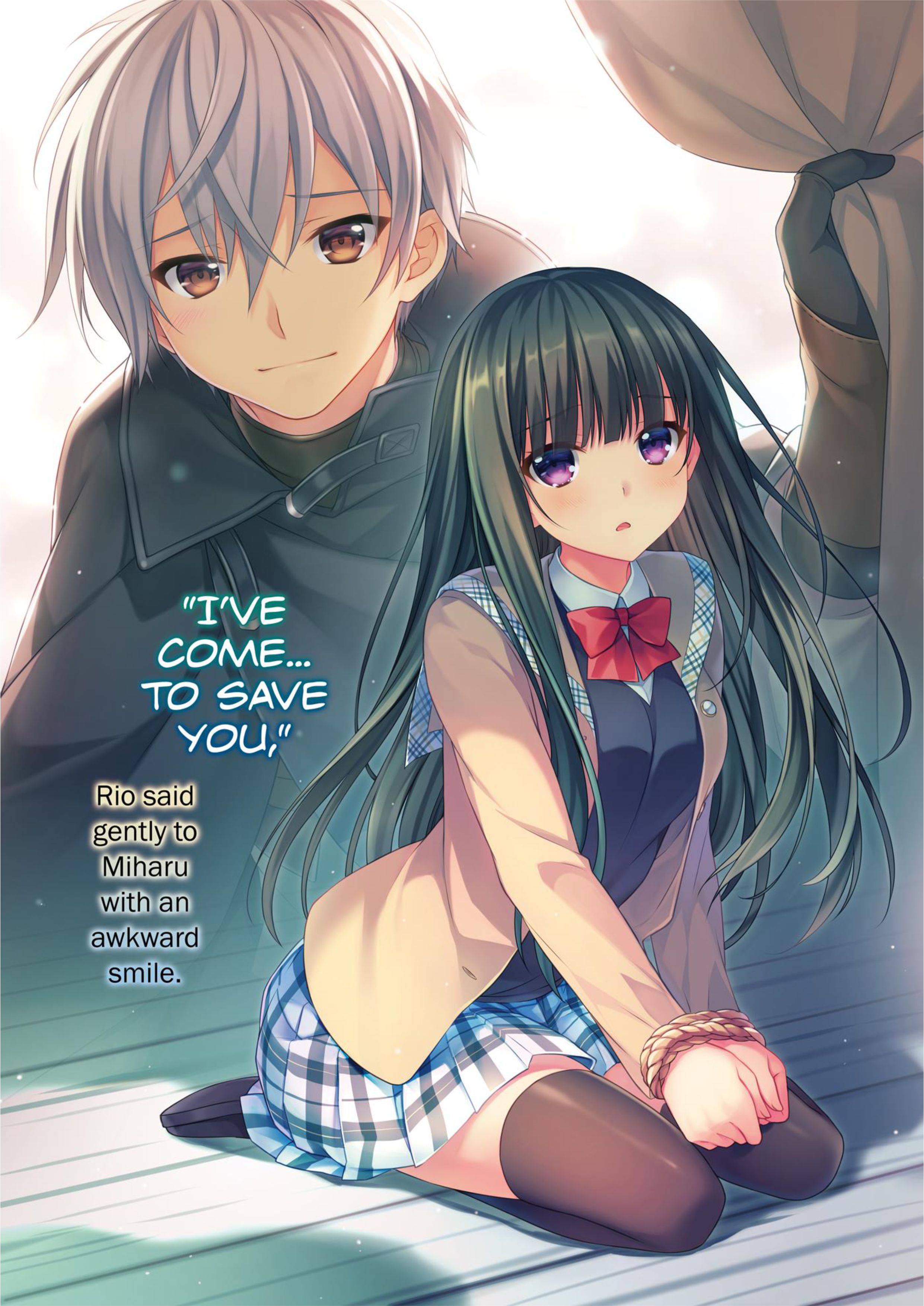 Seirei Gensouki V4 Illustration - Megumi Novel