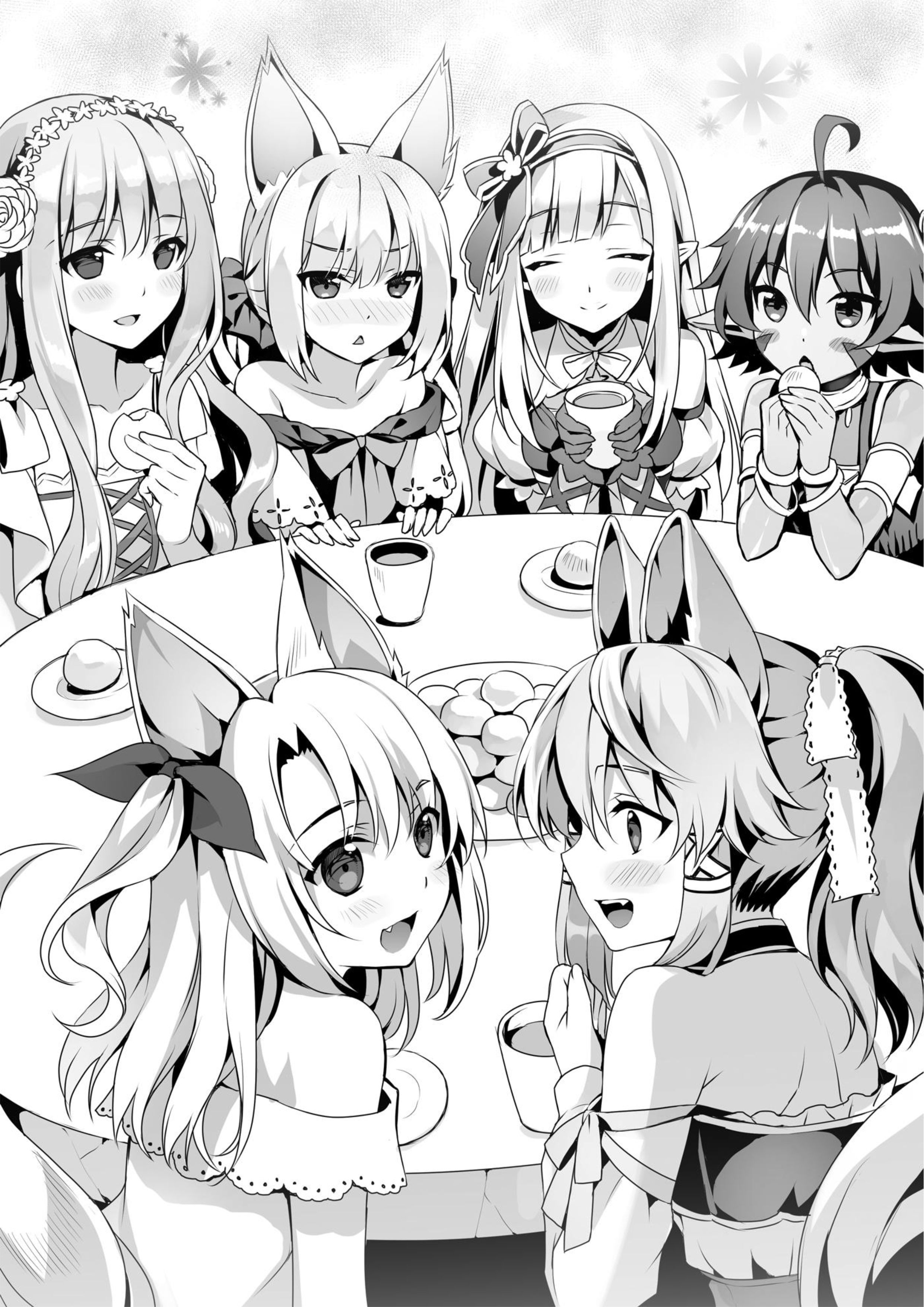 Seirei Gensouki V4 Illustration - Megumi Novel