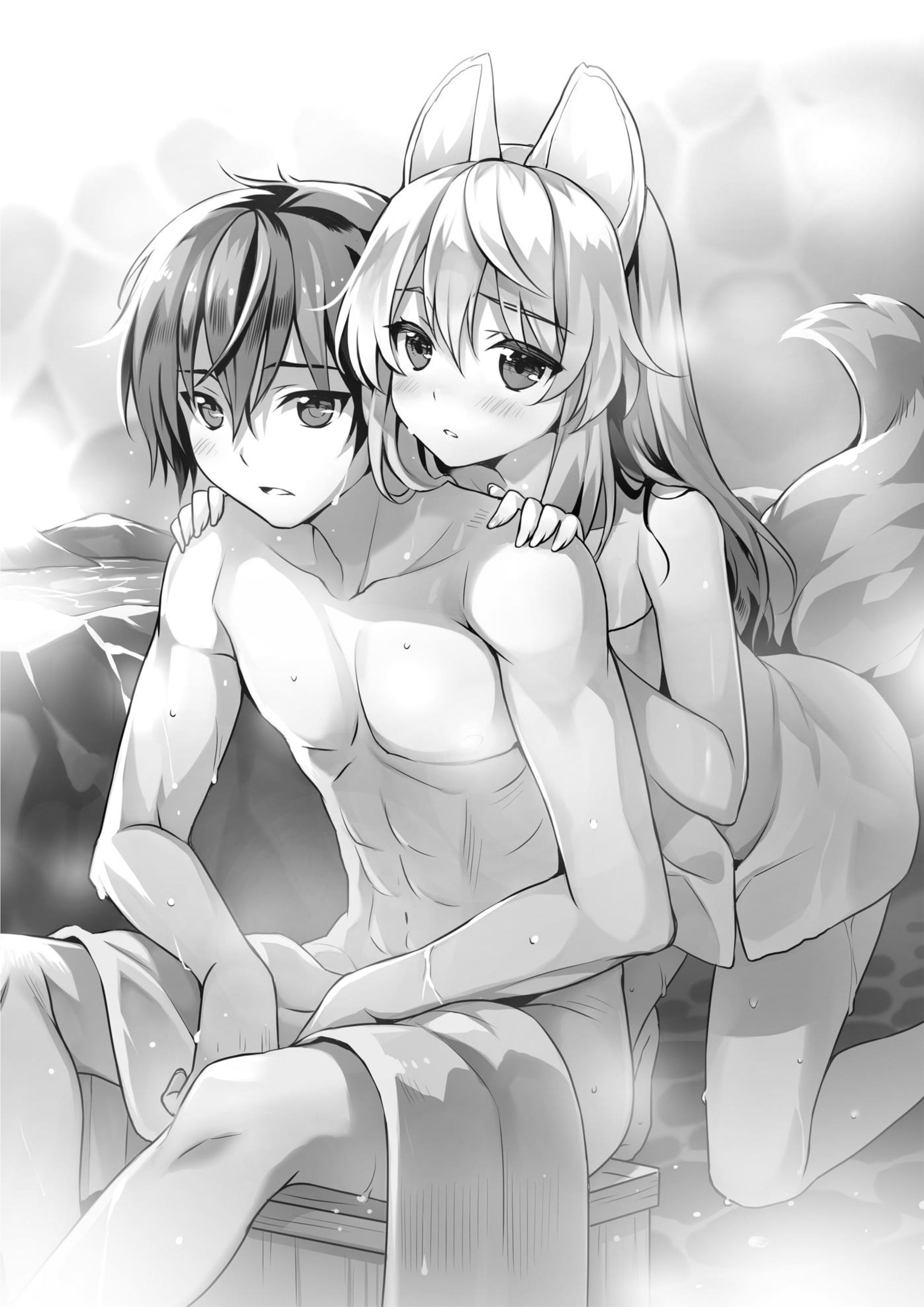 Seirei Gensouki V4 Illustration - Megumi Novel