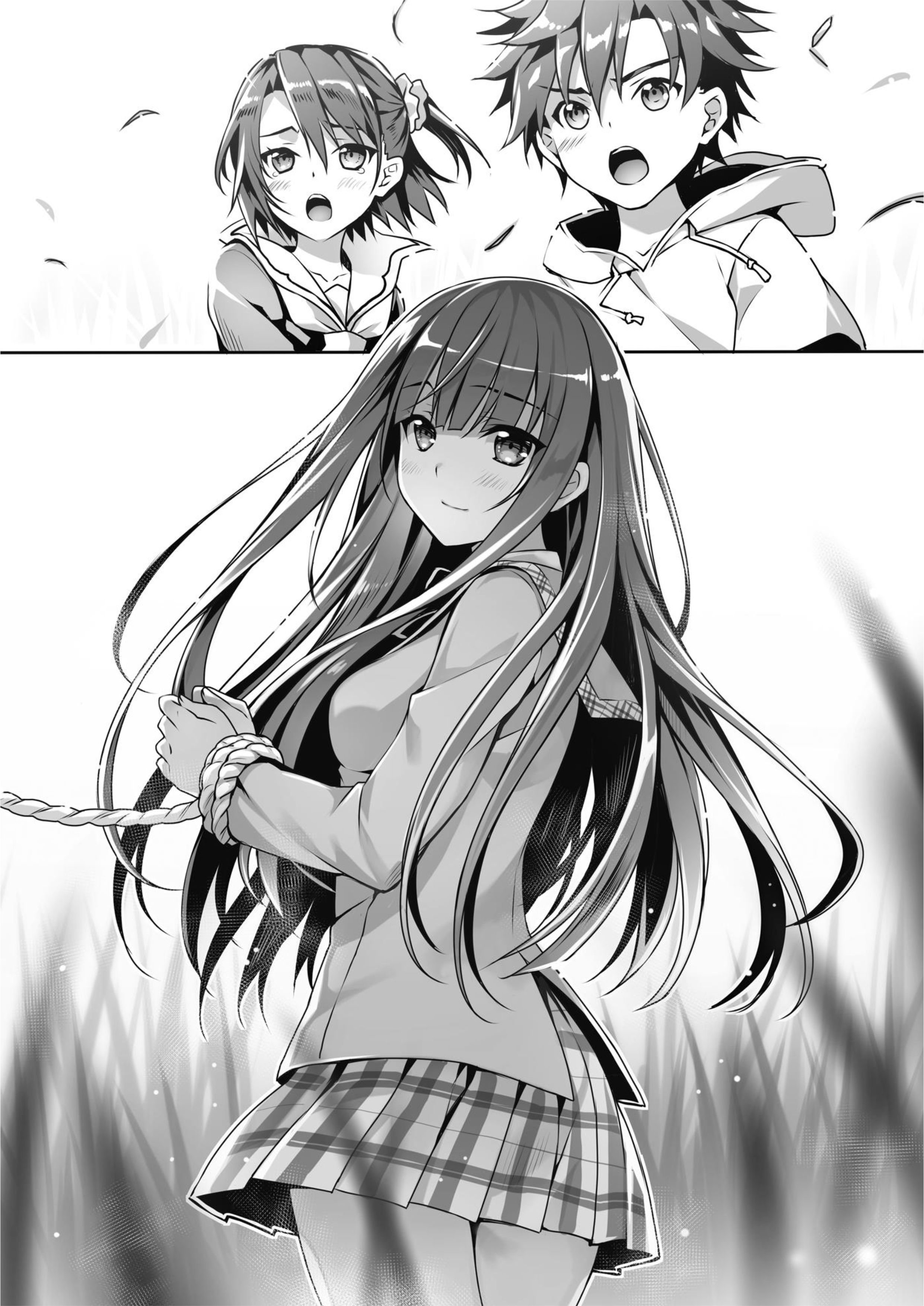 Seirei Gensouki V4 Illustration - Megumi Novel