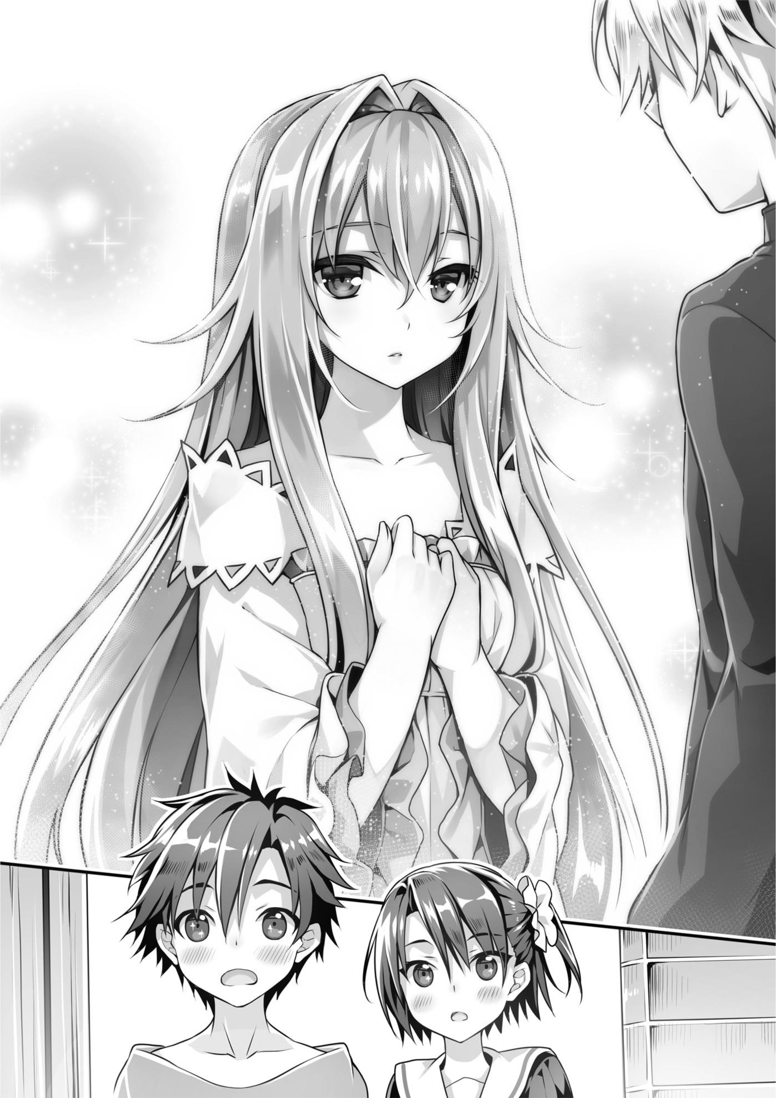 Seirei Gensouki V4 Illustration - Megumi Novel