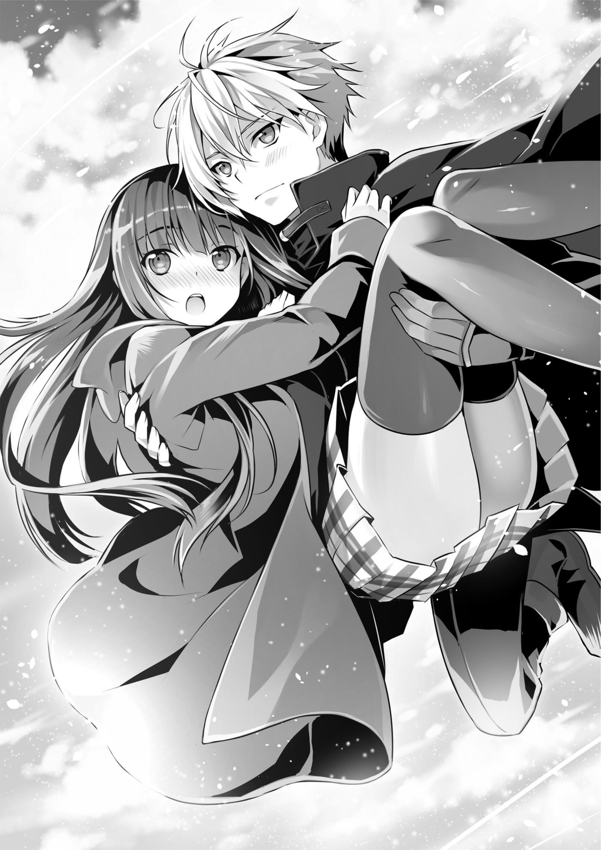 Seirei Gensouki V4 Illustration - Megumi Novel