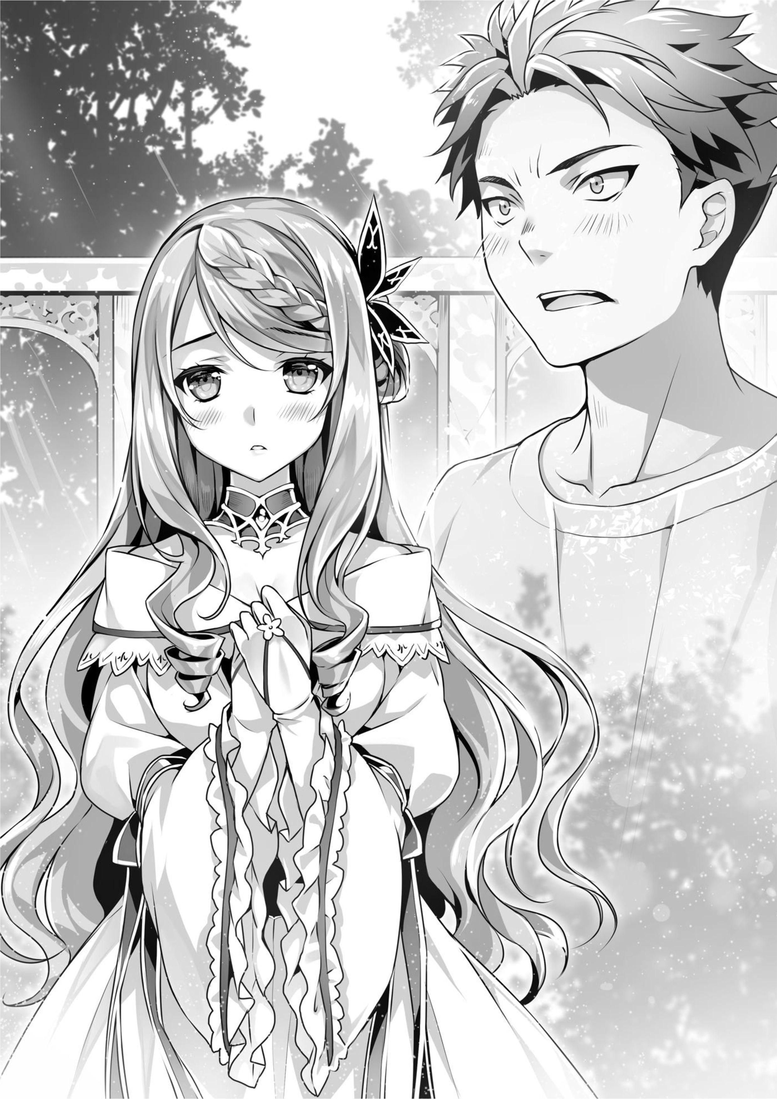 Seirei Gensouki V4 Illustration - Megumi Novel