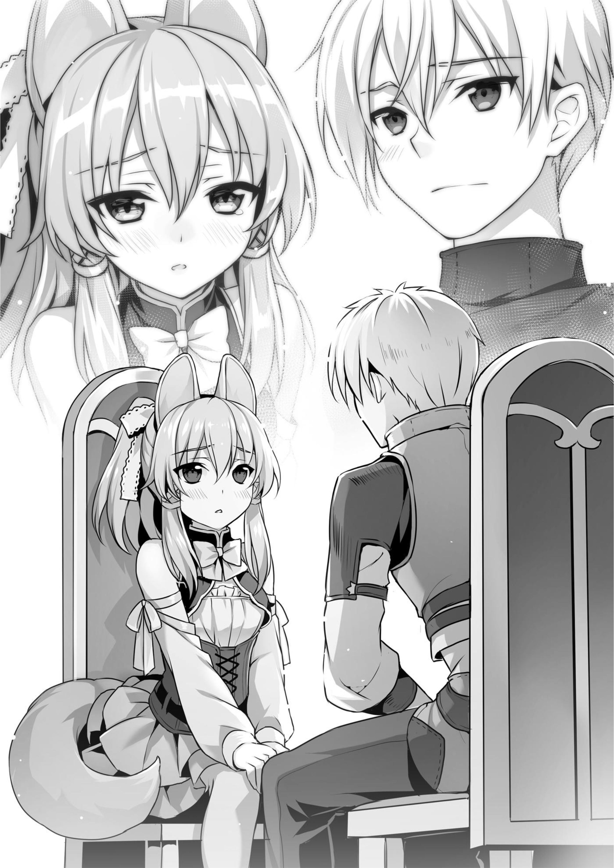 Seirei Gensouki V4 Illustration - Megumi Novel