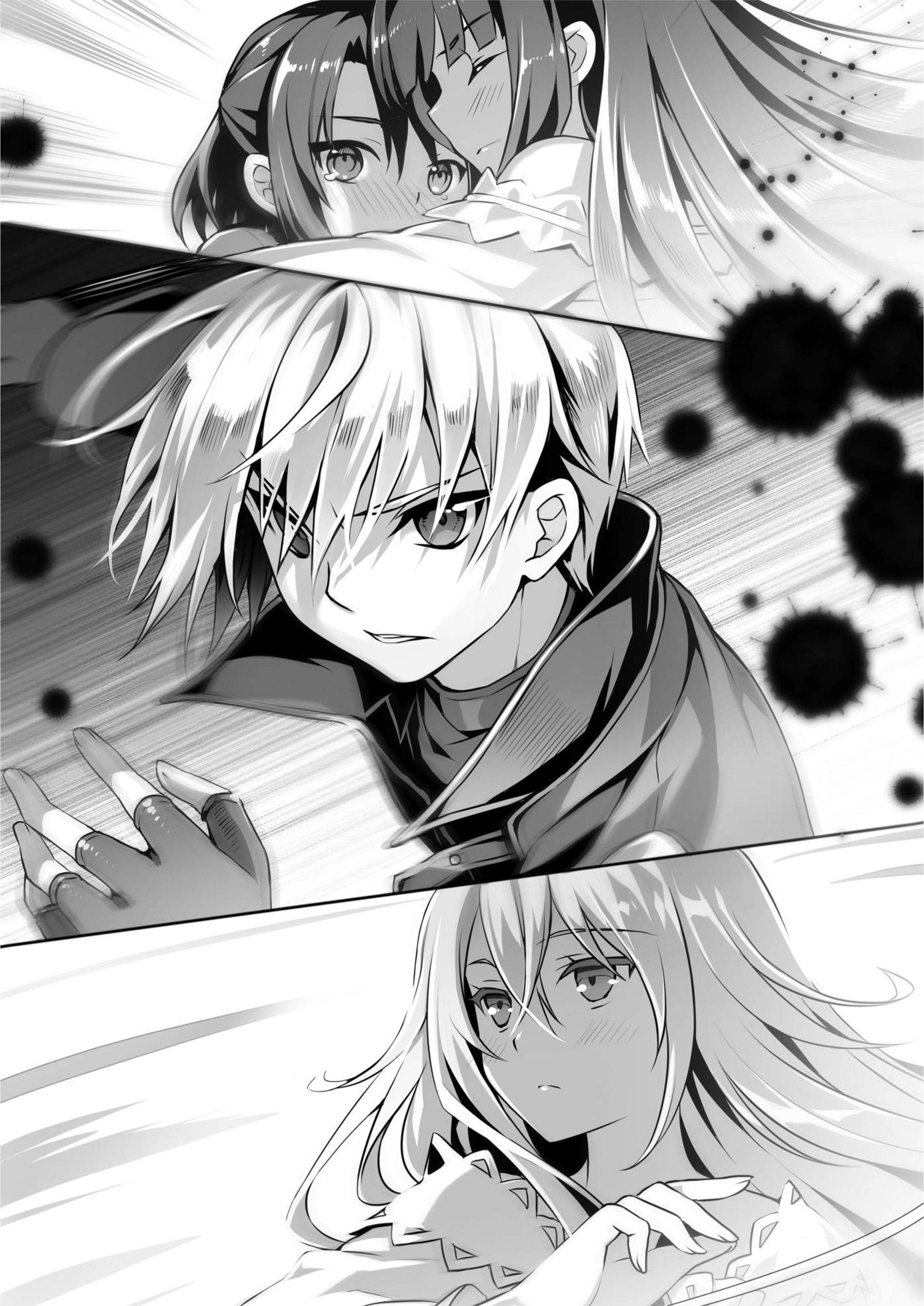 Seirei Gensouki V4 Illustration - Megumi Novel