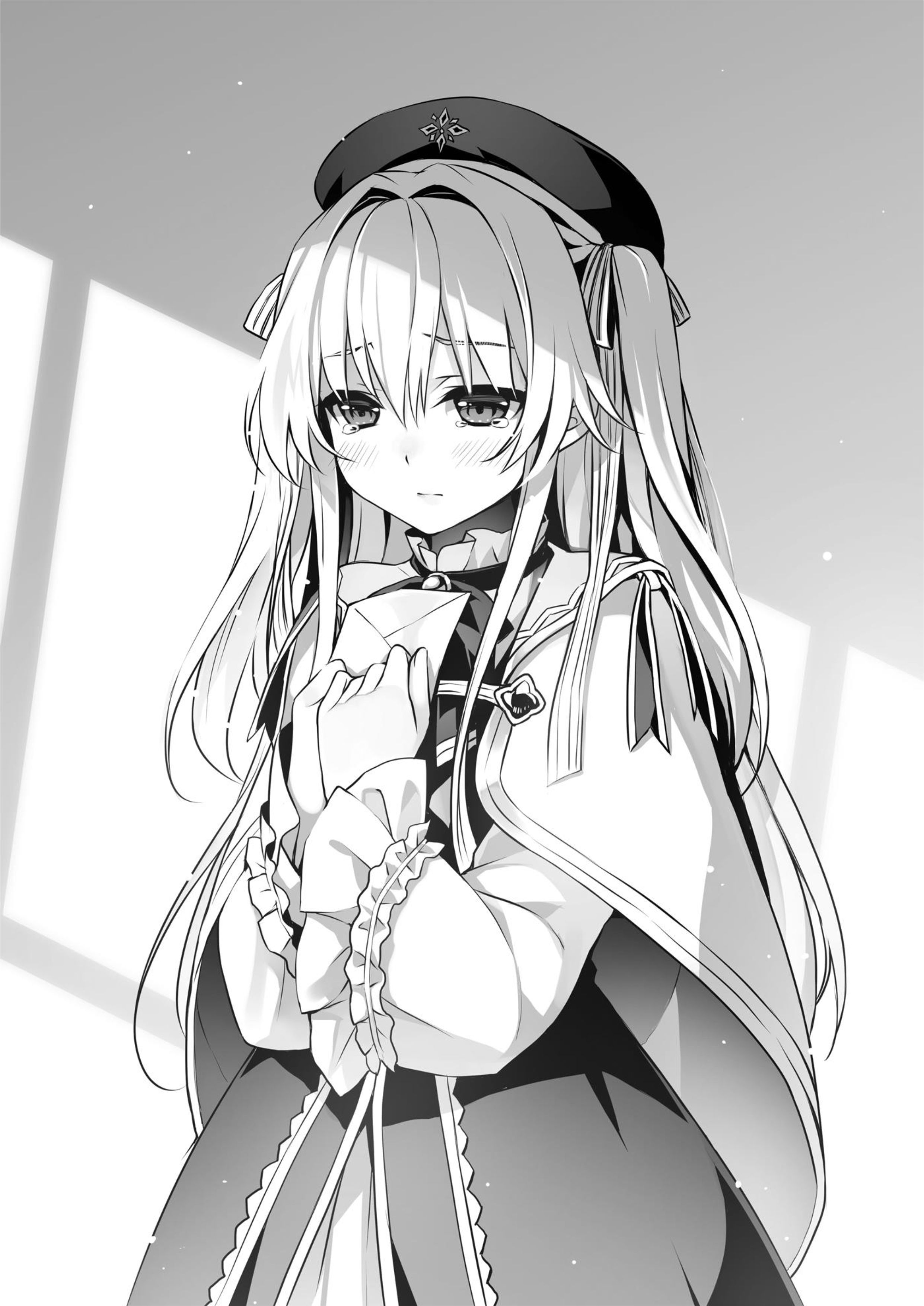 Seirei Gensouki V4 Illustration - Megumi Novel