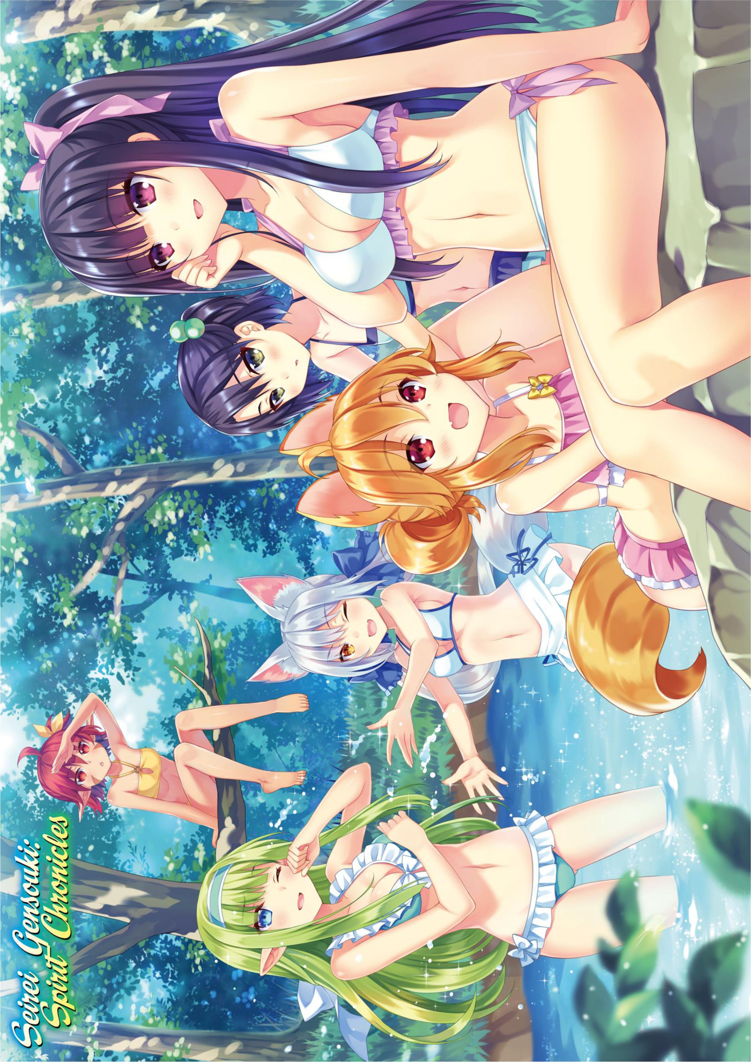 Seirei Gensouki V6 Illustration - Megumi Novel