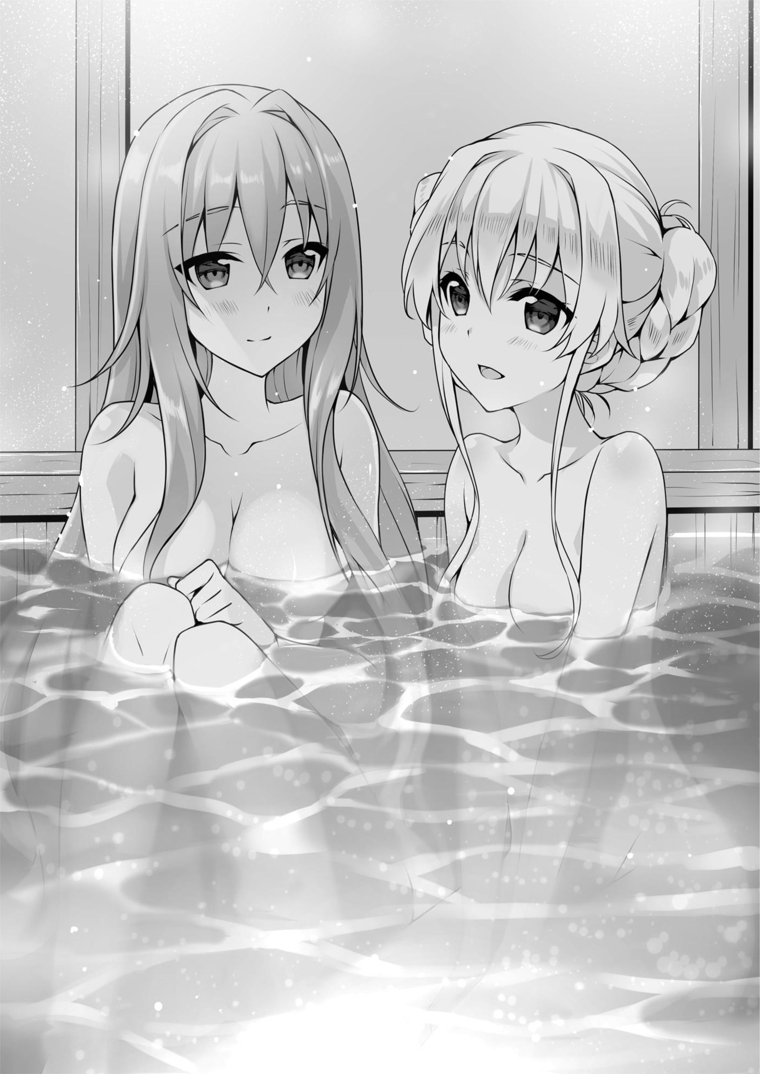 Seirei Gensouki V6 Illustration - Megumi Novel