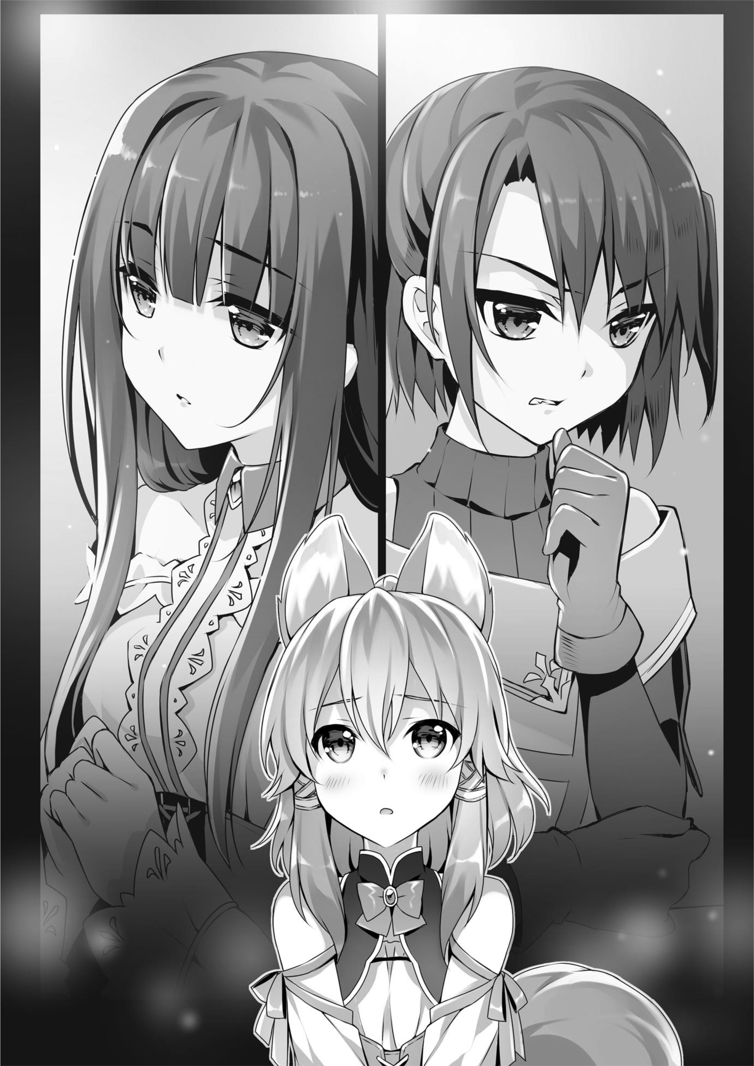 Seirei Gensouki V6 Illustration - Megumi Novel