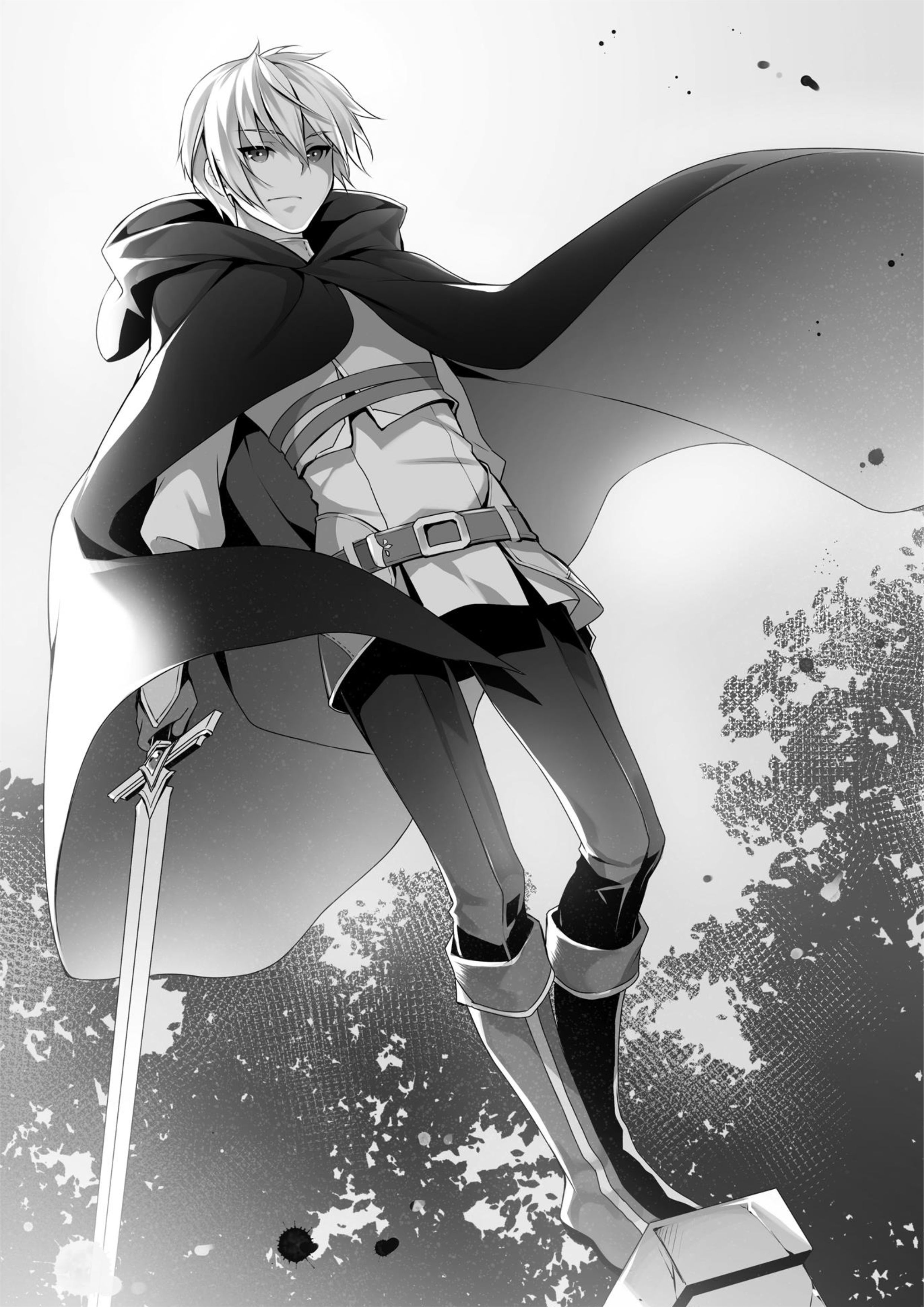 Seirei Gensouki V6 Illustration - Megumi Novel