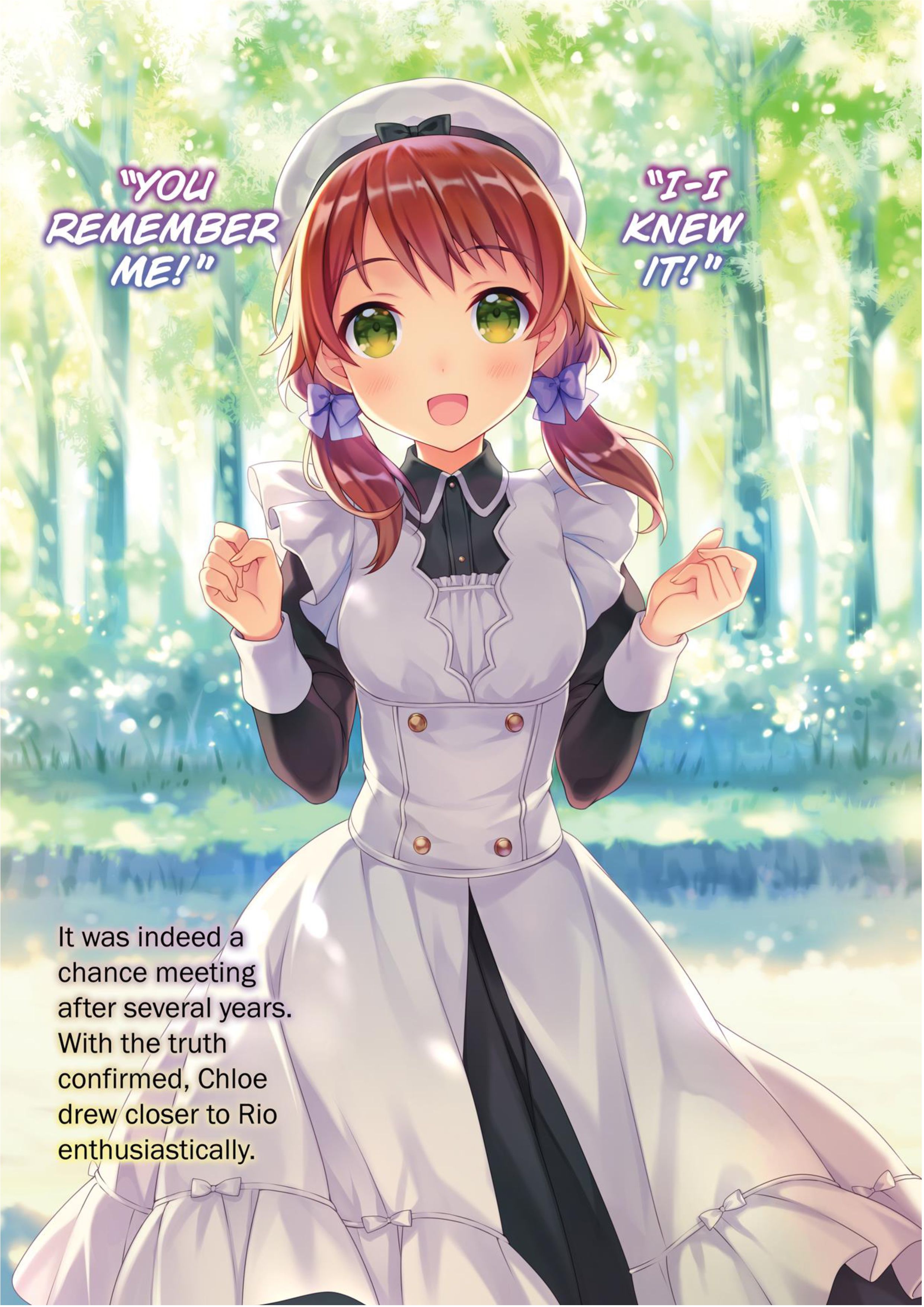 Seirei Gensouki V7 Illustration - Megumi Novel