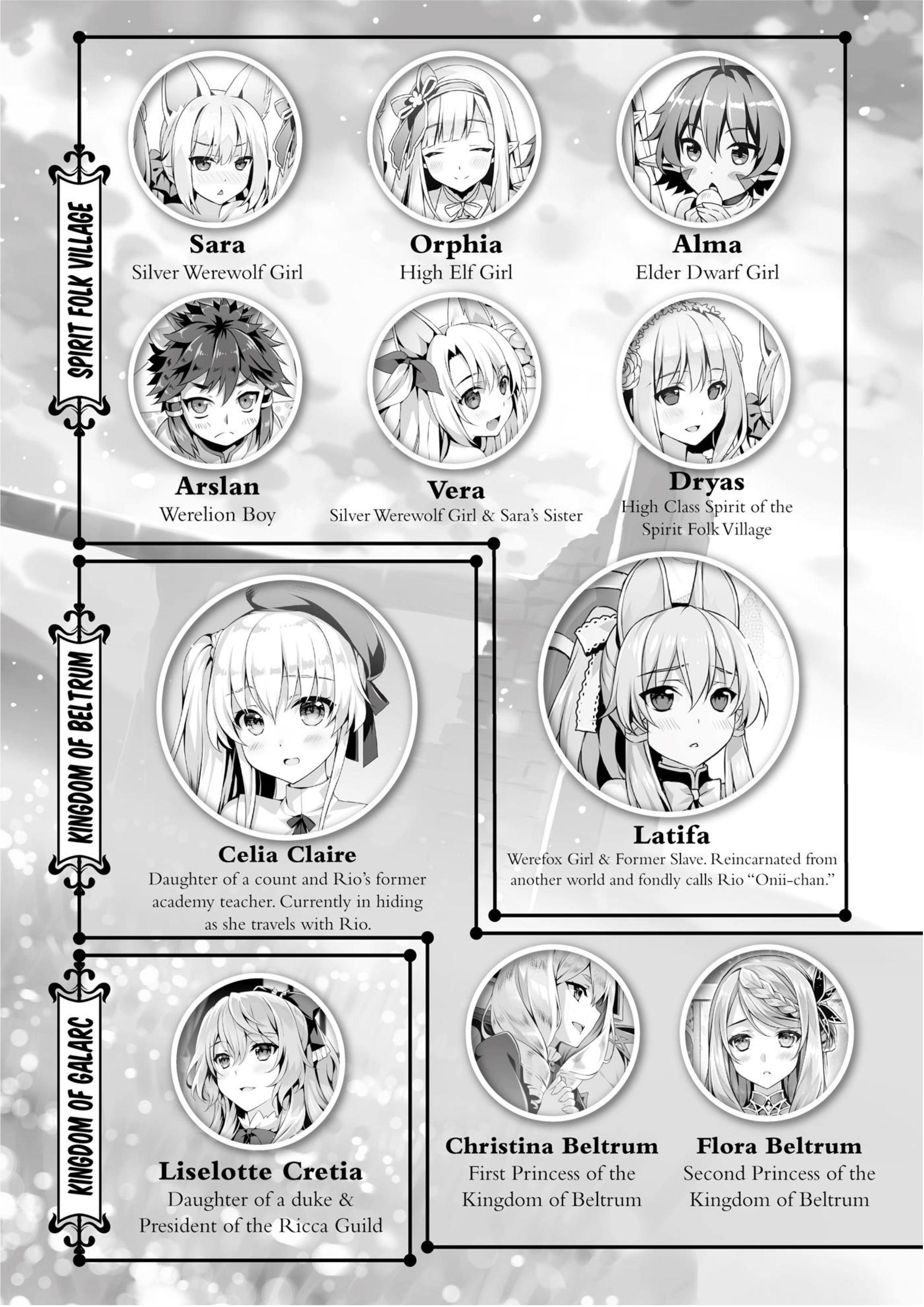 Seirei Gensouki V7 Illustration - Megumi Novel