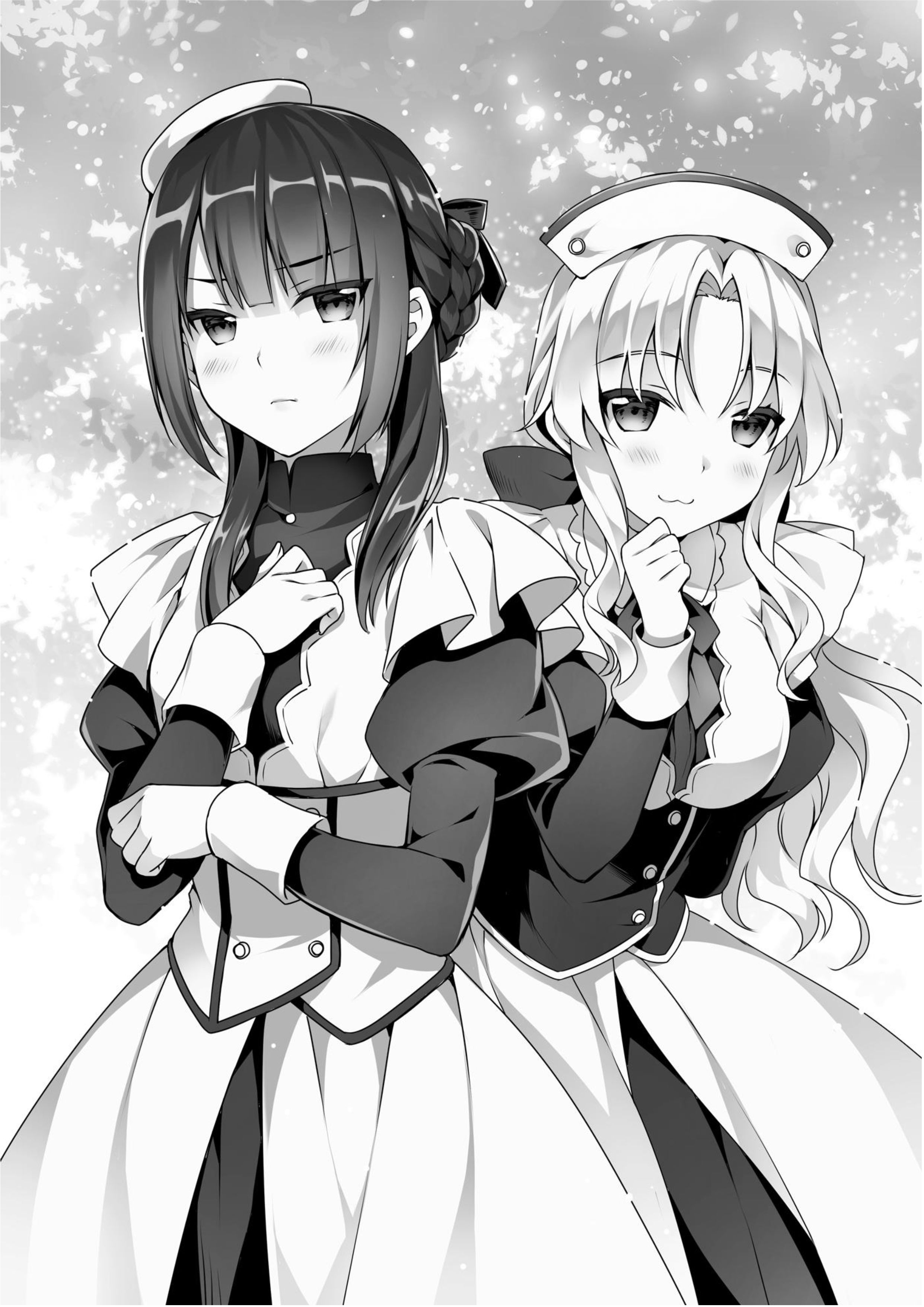 Seirei Gensouki V7 Illustration - Megumi Novel
