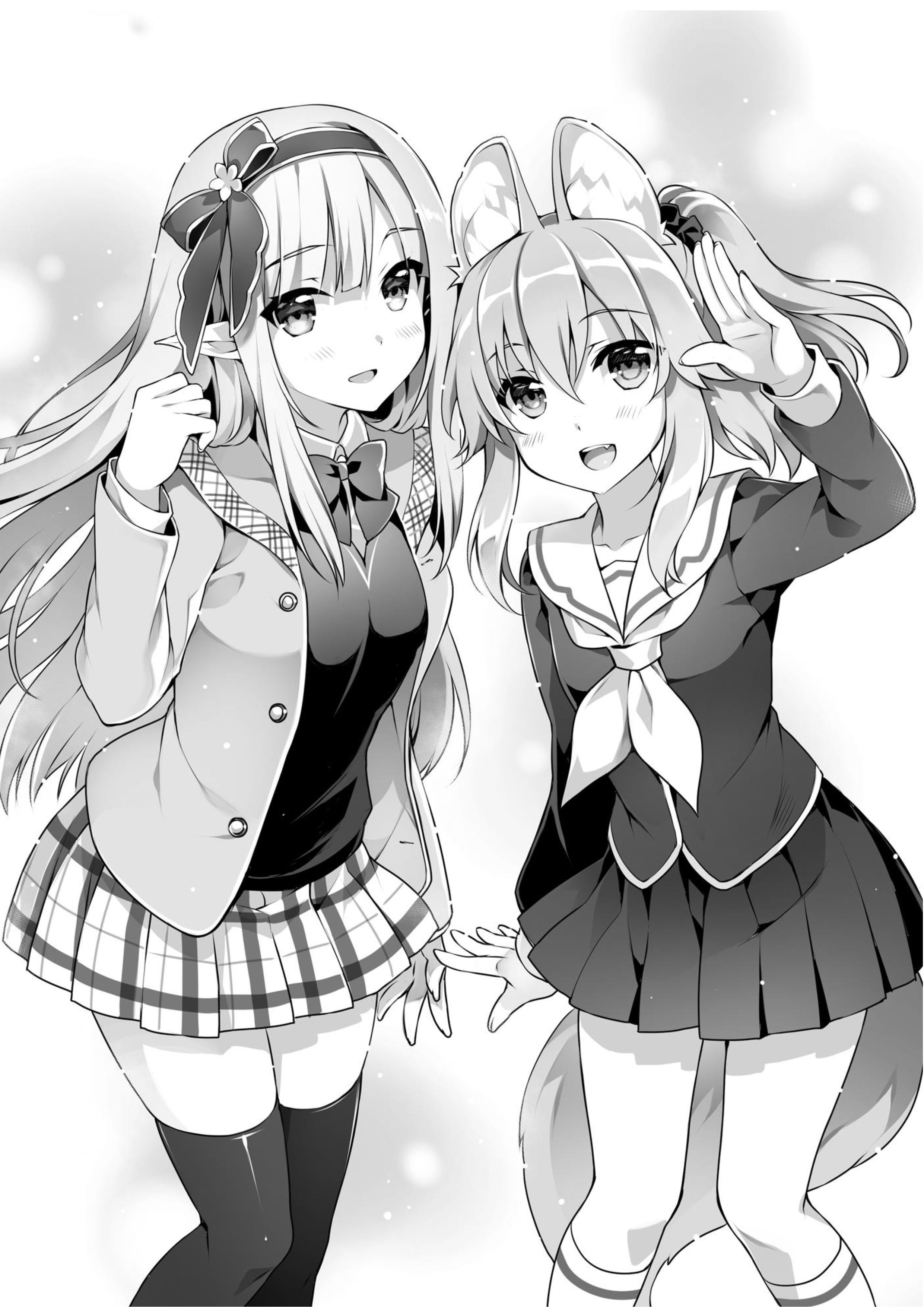 Seirei Gensouki V7 Illustration - Megumi Novel