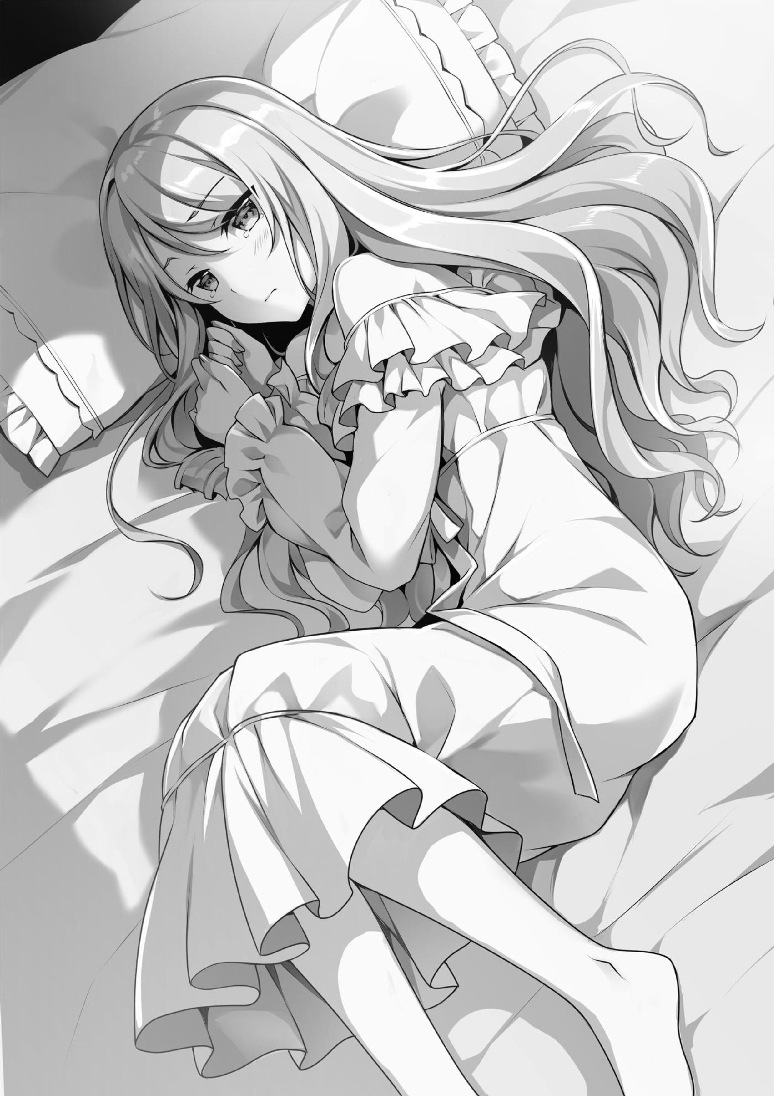 Seirei Gensouki V7 Illustration - Megumi Novel