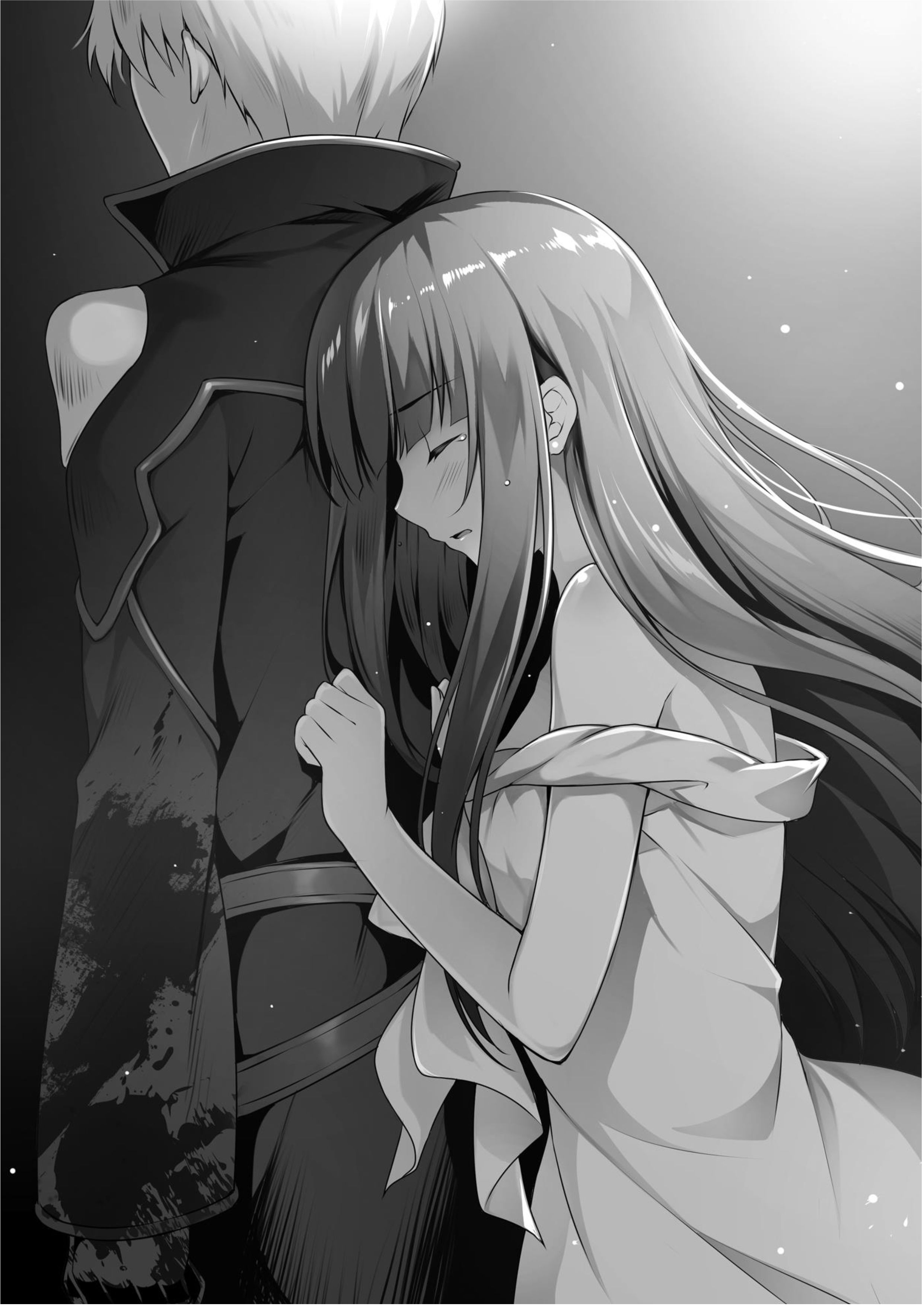 Seirei Gensouki V7 Illustration - Megumi Novel