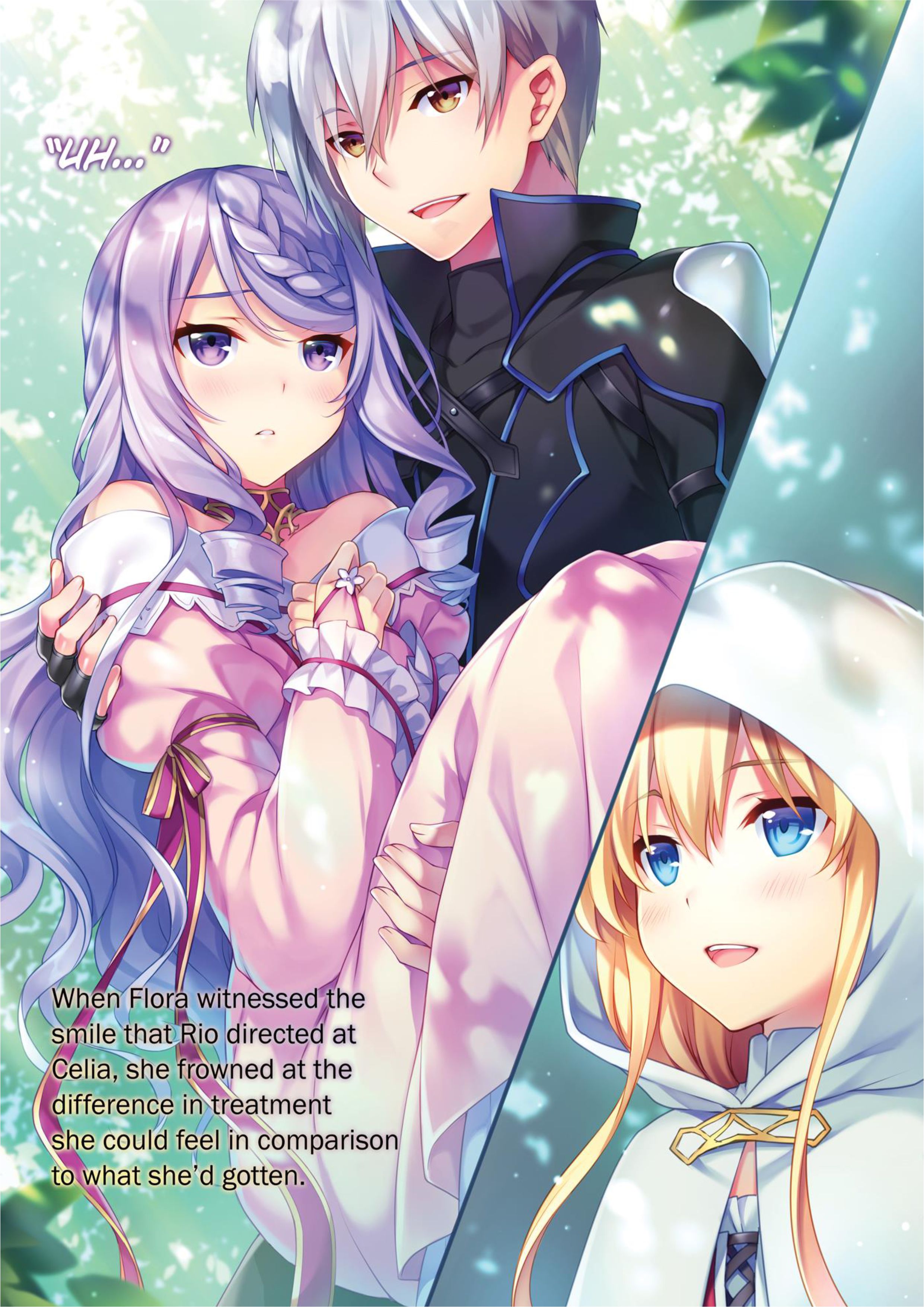 Seirei Gensouki V8 Illustration - Megumi Novel