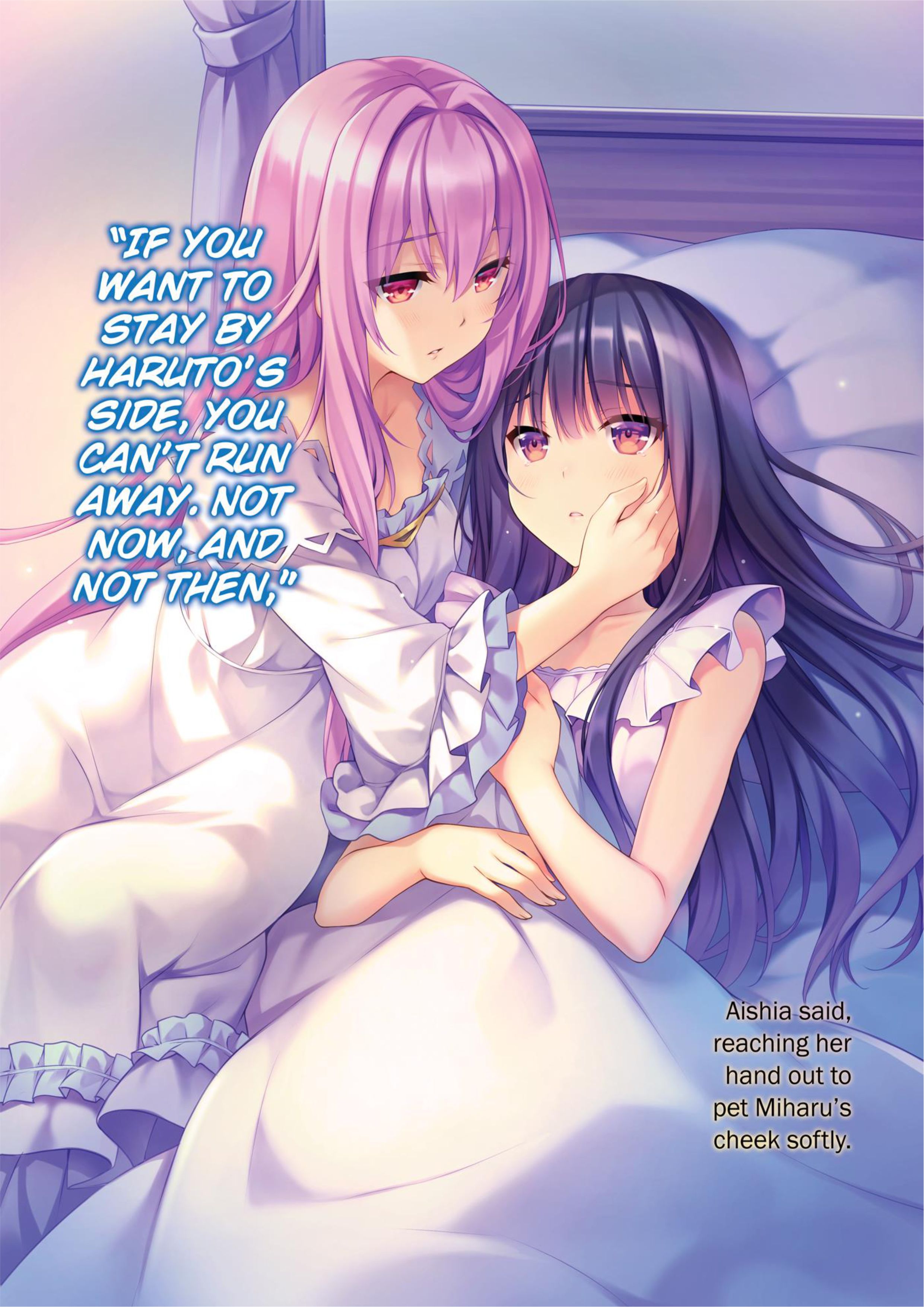 Seirei Gensouki V8 Illustration - Megumi Novel