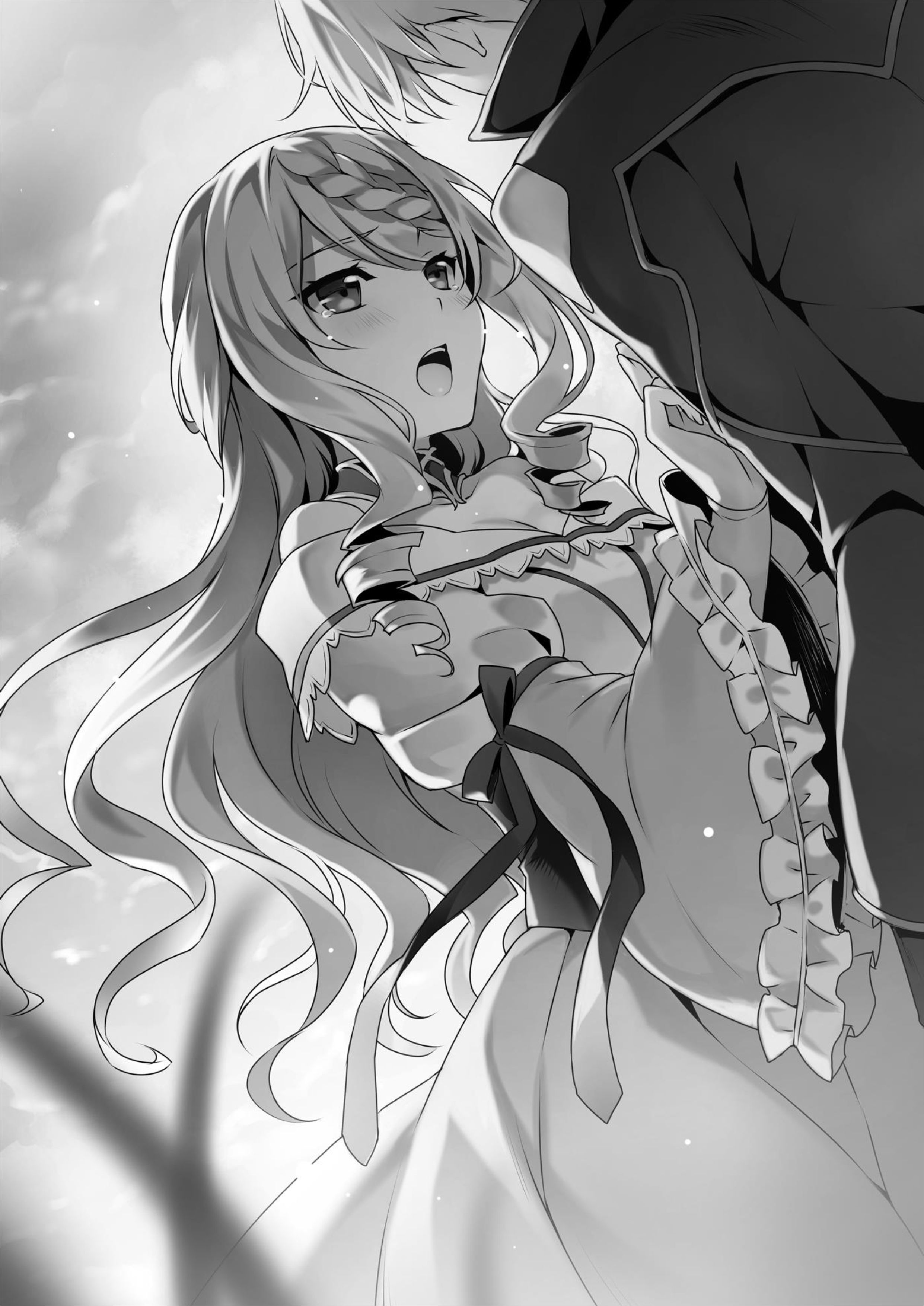 Seirei Gensouki V8 Illustration - Megumi Novel