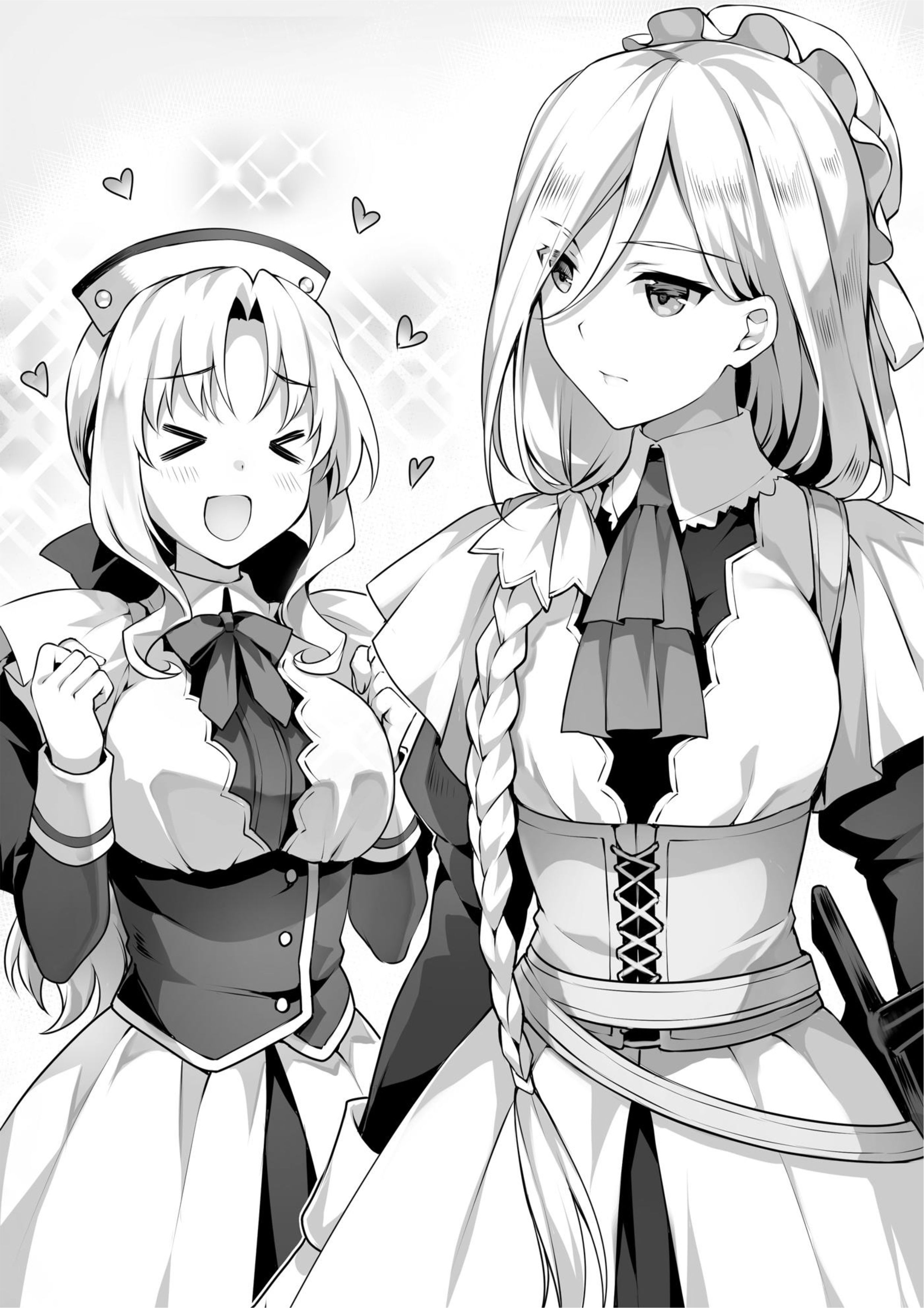 Seirei Gensouki V8 Illustration - Megumi Novel