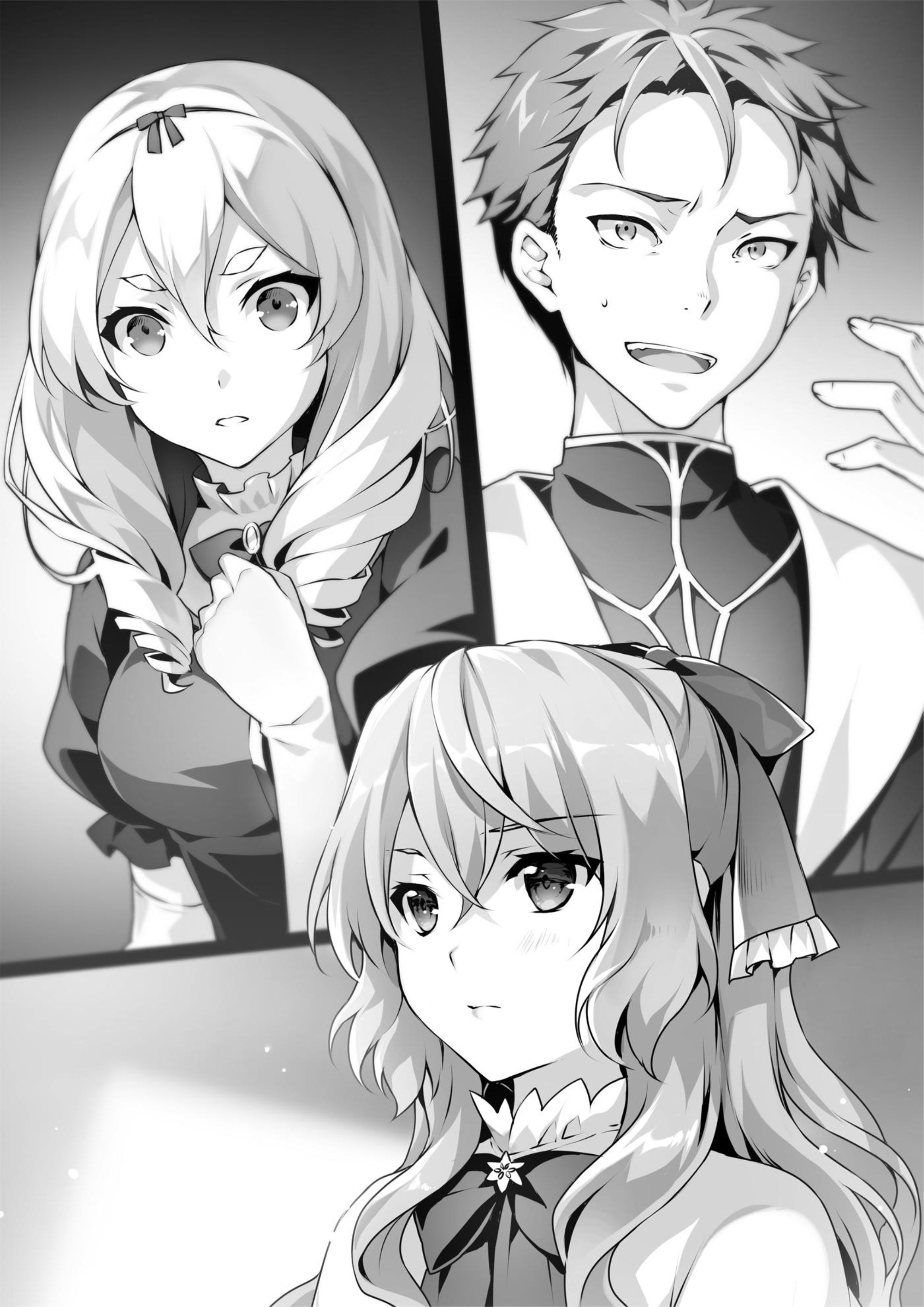 Seirei Gensouki V8 Illustration - Megumi Novel