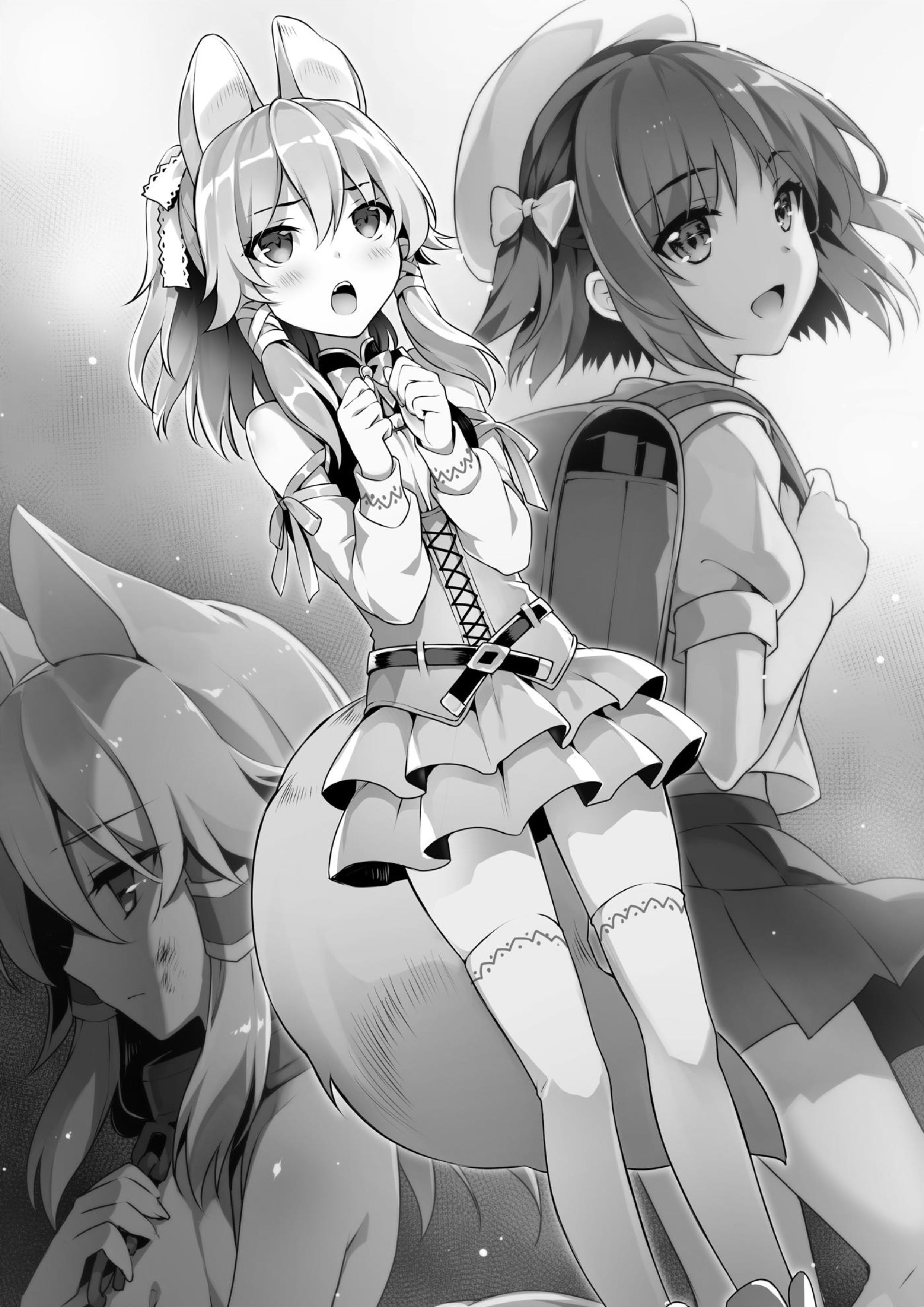 Seirei Gensouki V8 Illustration - Megumi Novel