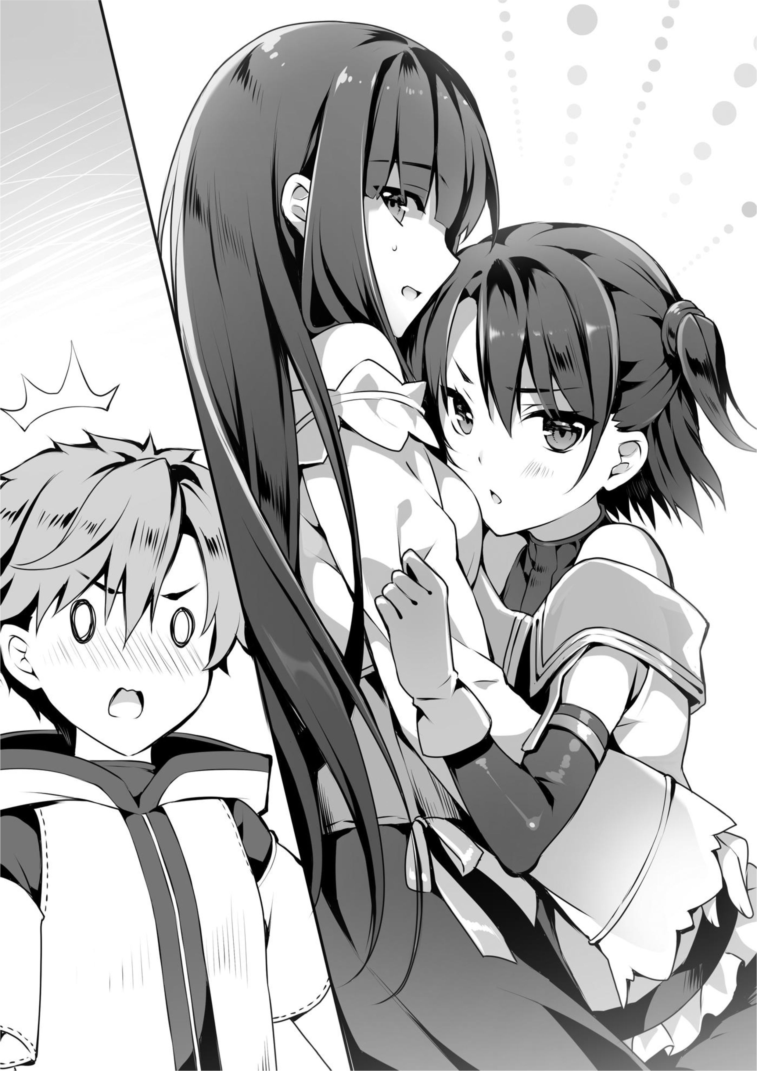 Seirei Gensouki V8 Illustration - Megumi Novel