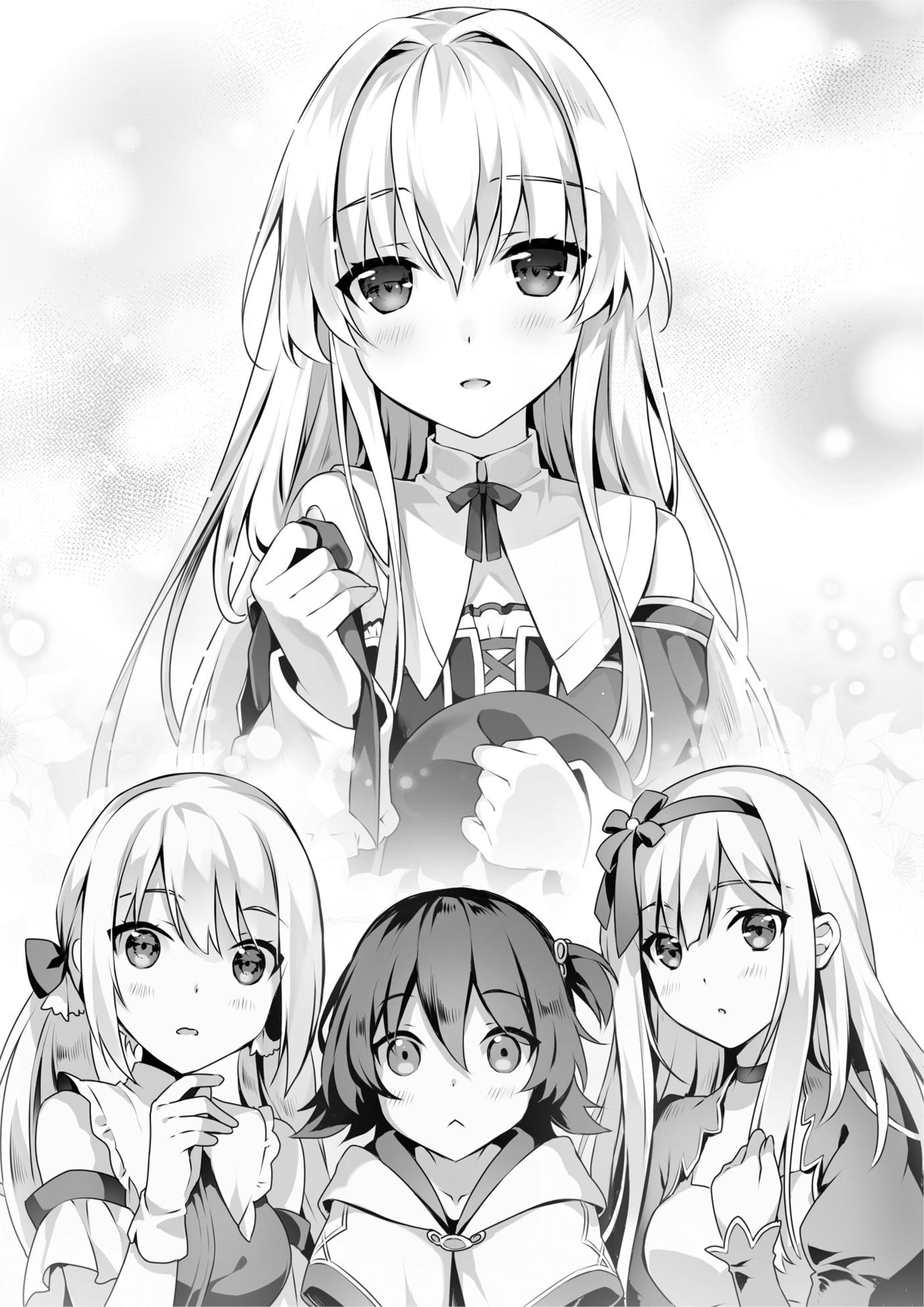 Seirei Gensouki V8 Illustration - Megumi Novel