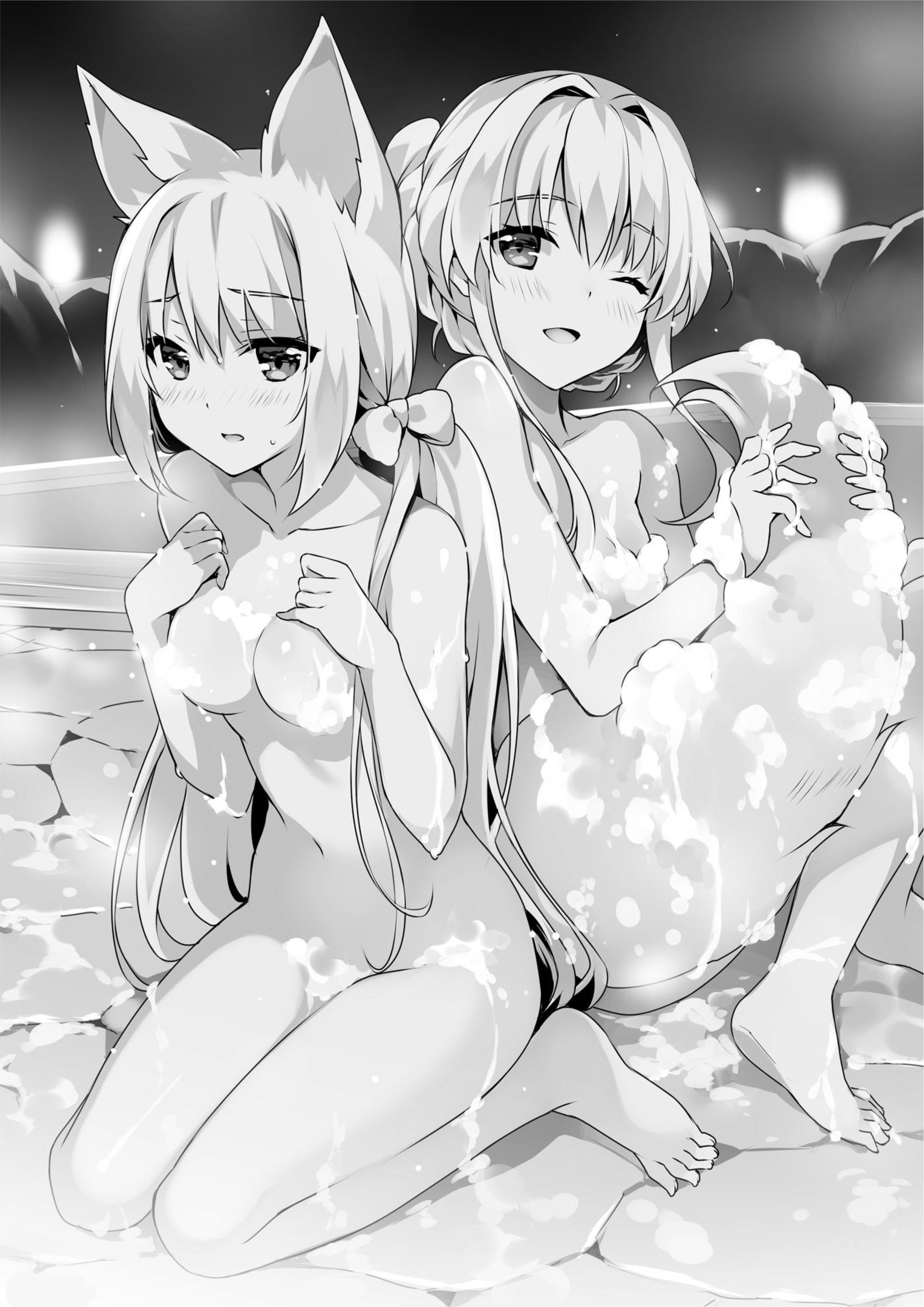 Seirei Gensouki V8 Illustration - Megumi Novel