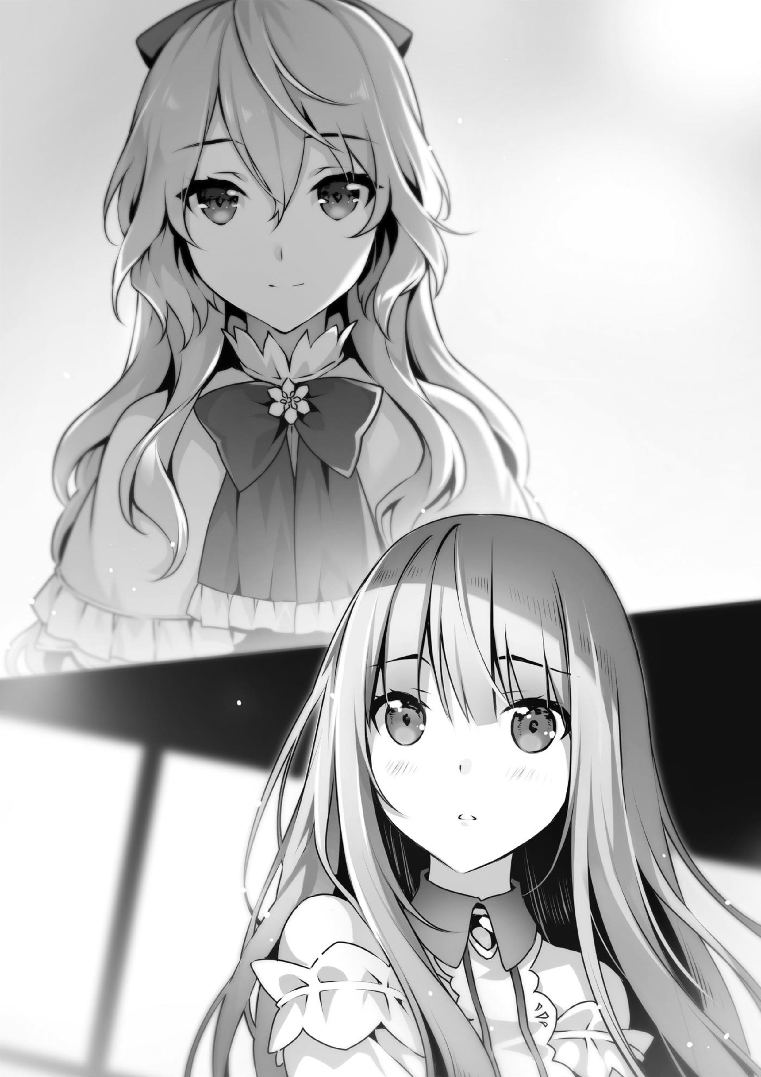 Seirei Gensouki V8 Illustration - Megumi Novel