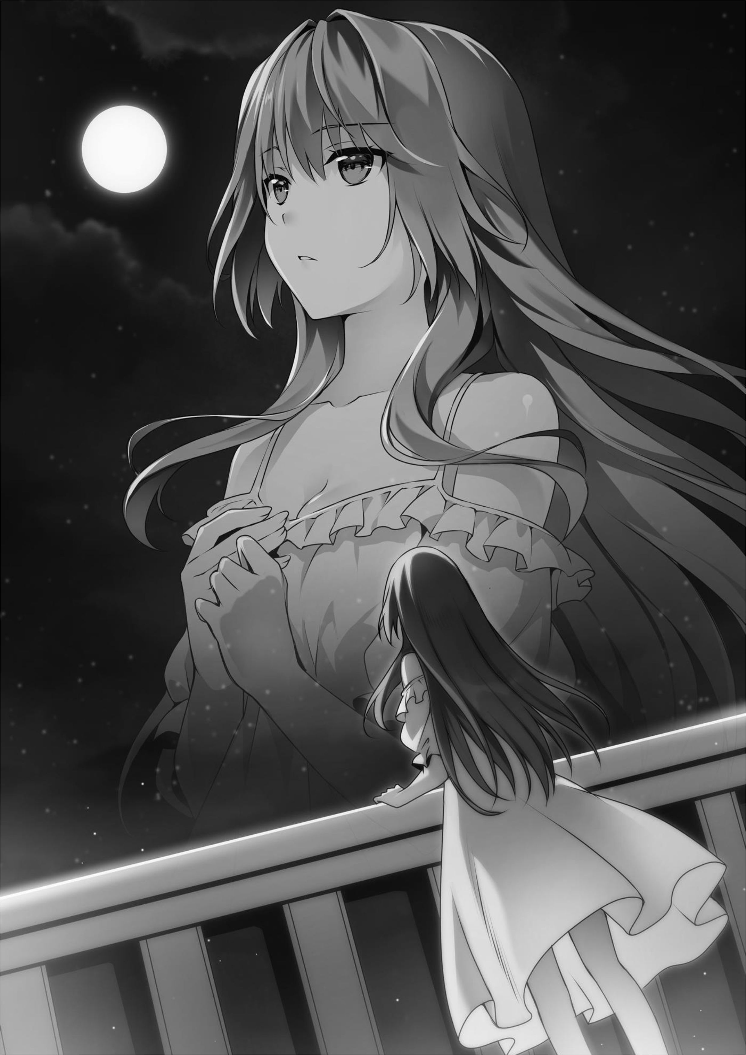 Seirei Gensouki V8 Illustration - Megumi Novel