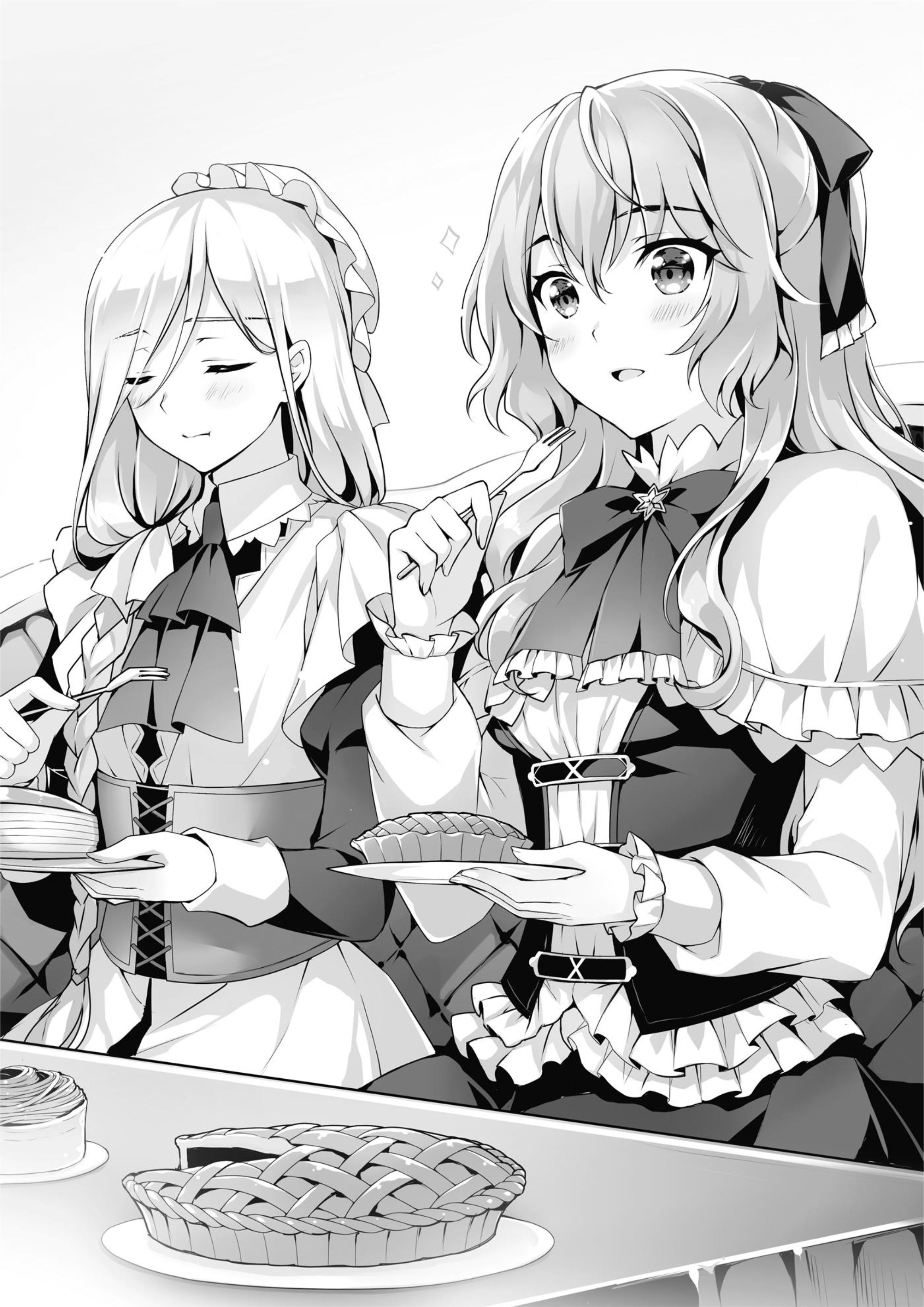 Seirei Gensouki V9 Illustration - Megumi Novel