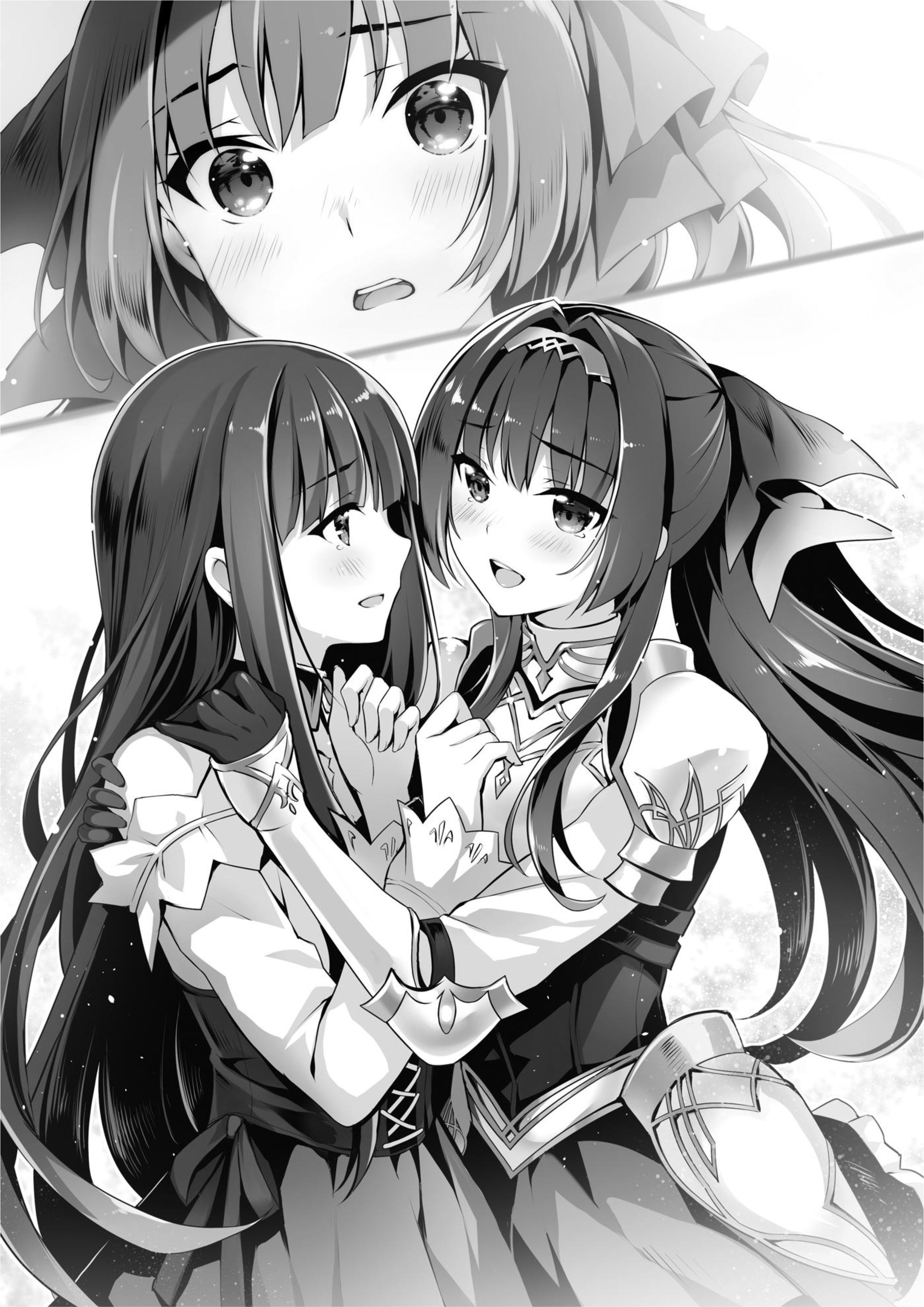 Seirei Gensouki V9 Illustration - Megumi Novel