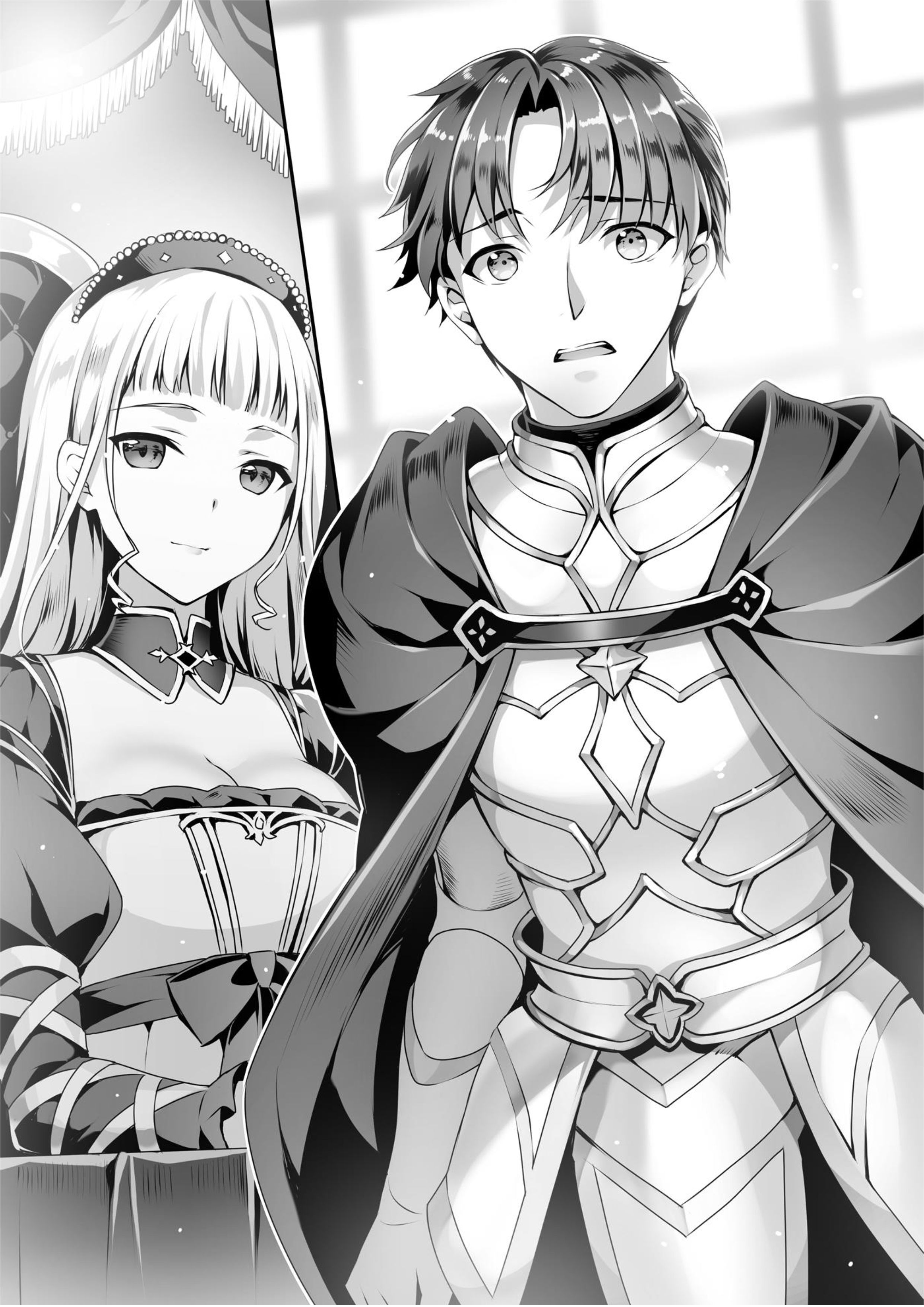 Seirei Gensouki V9 Illustration - Megumi Novel