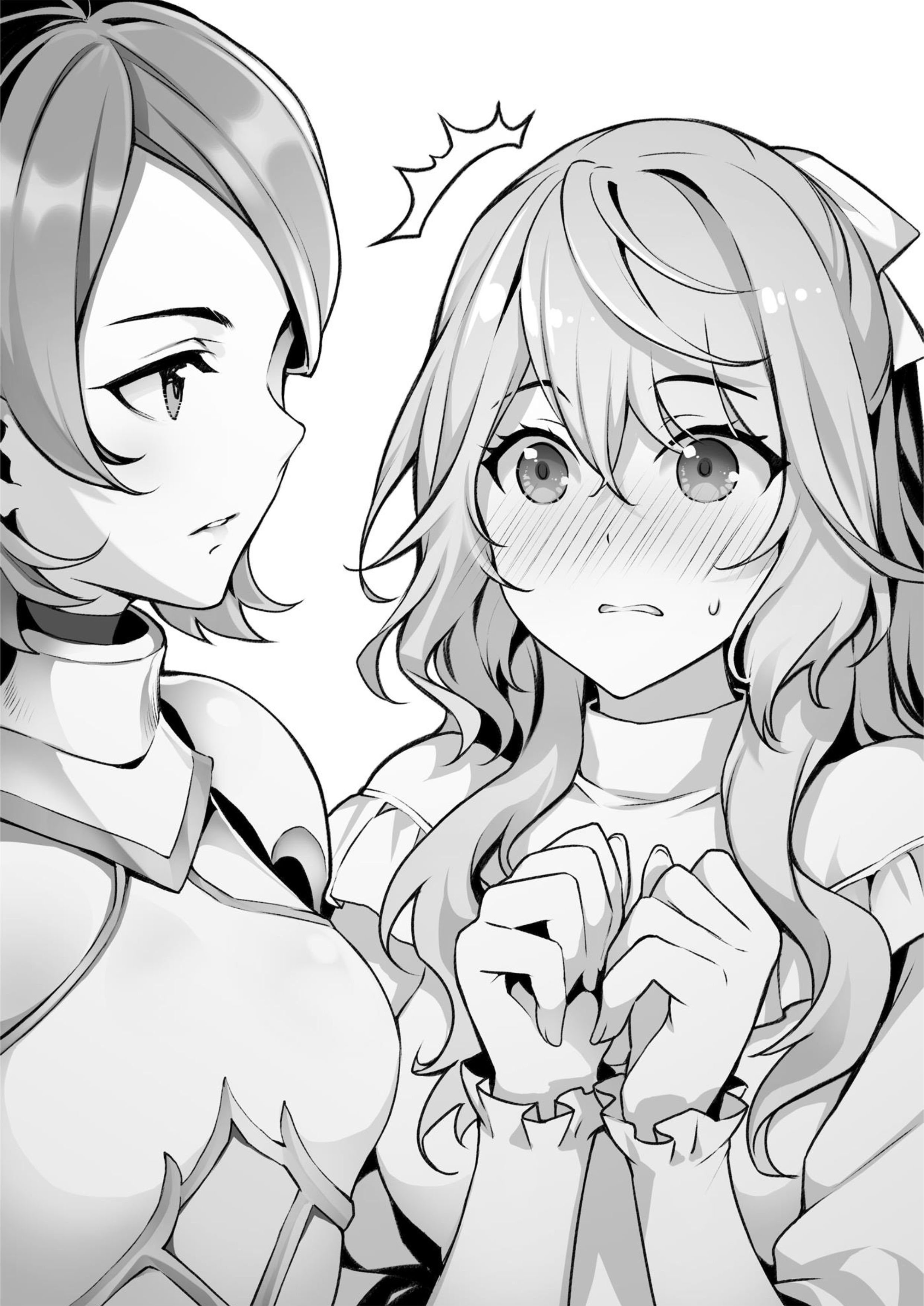 Seirei Gensouki V18 Illustration - Megumi Novel