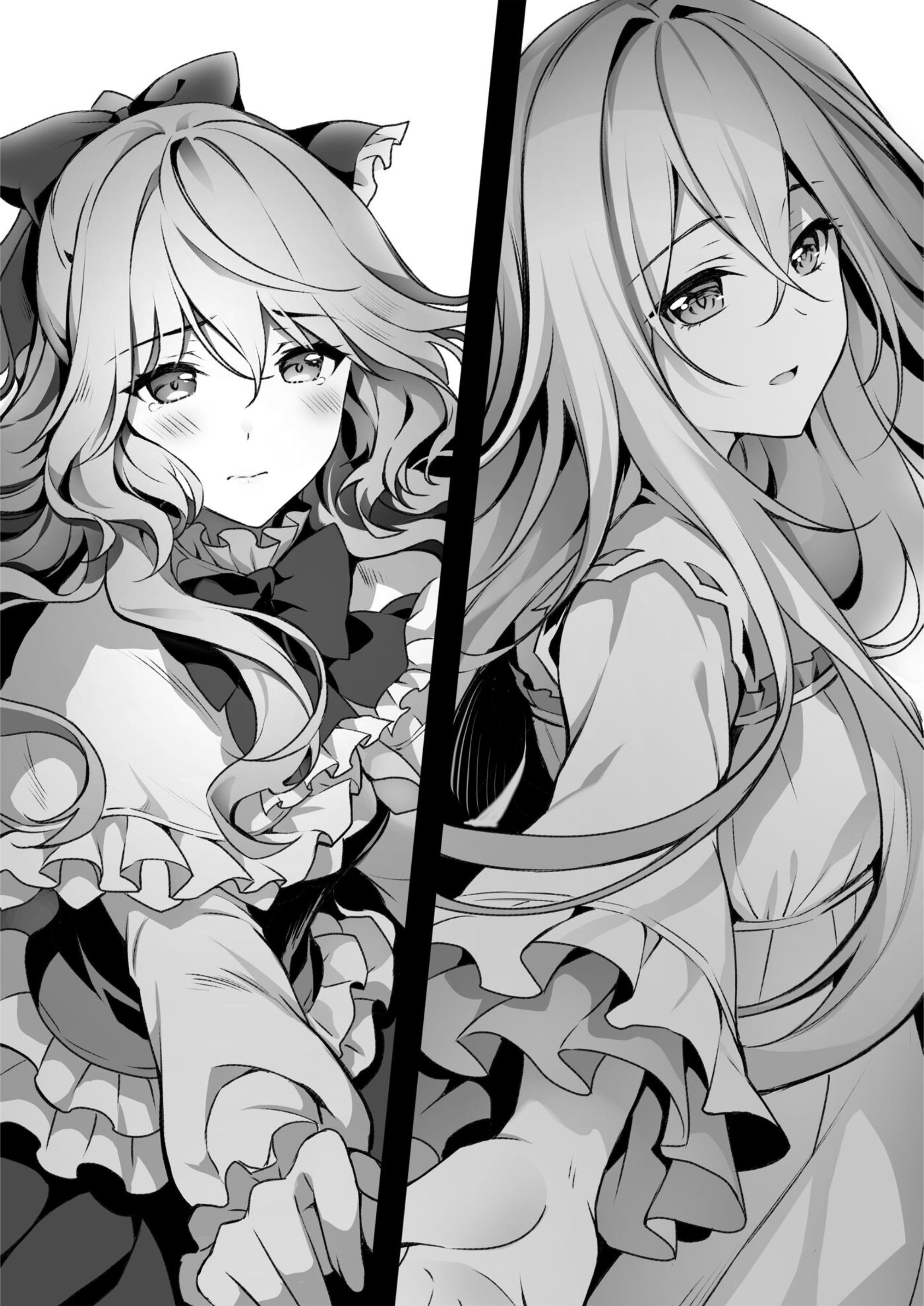 Seirei Gensouki V18 Illustration - Megumi Novel