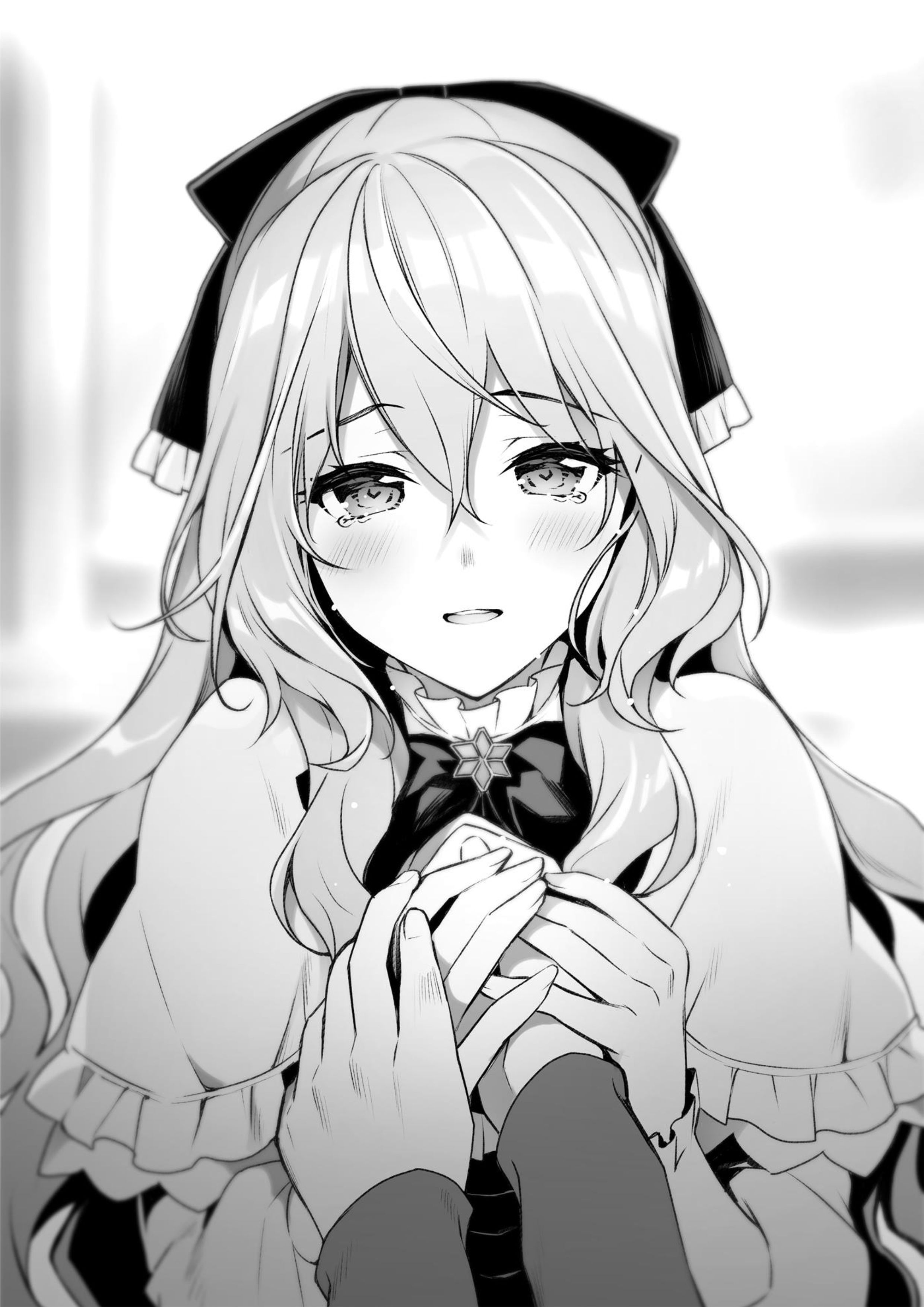 Seirei Gensouki V20 Illustration - Megumi Novel