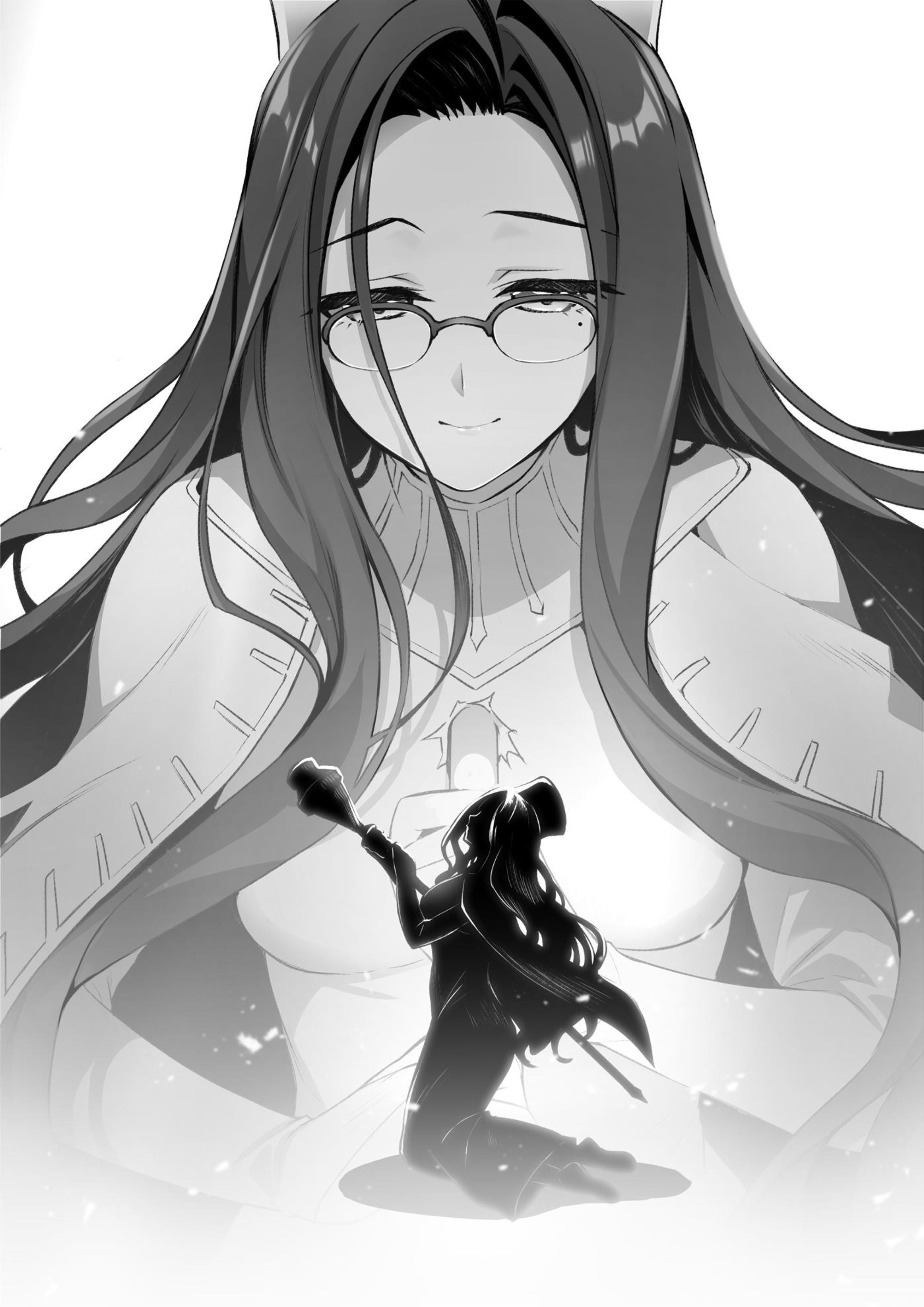 Seirei Gensouki V20 Illustration - Megumi Novel