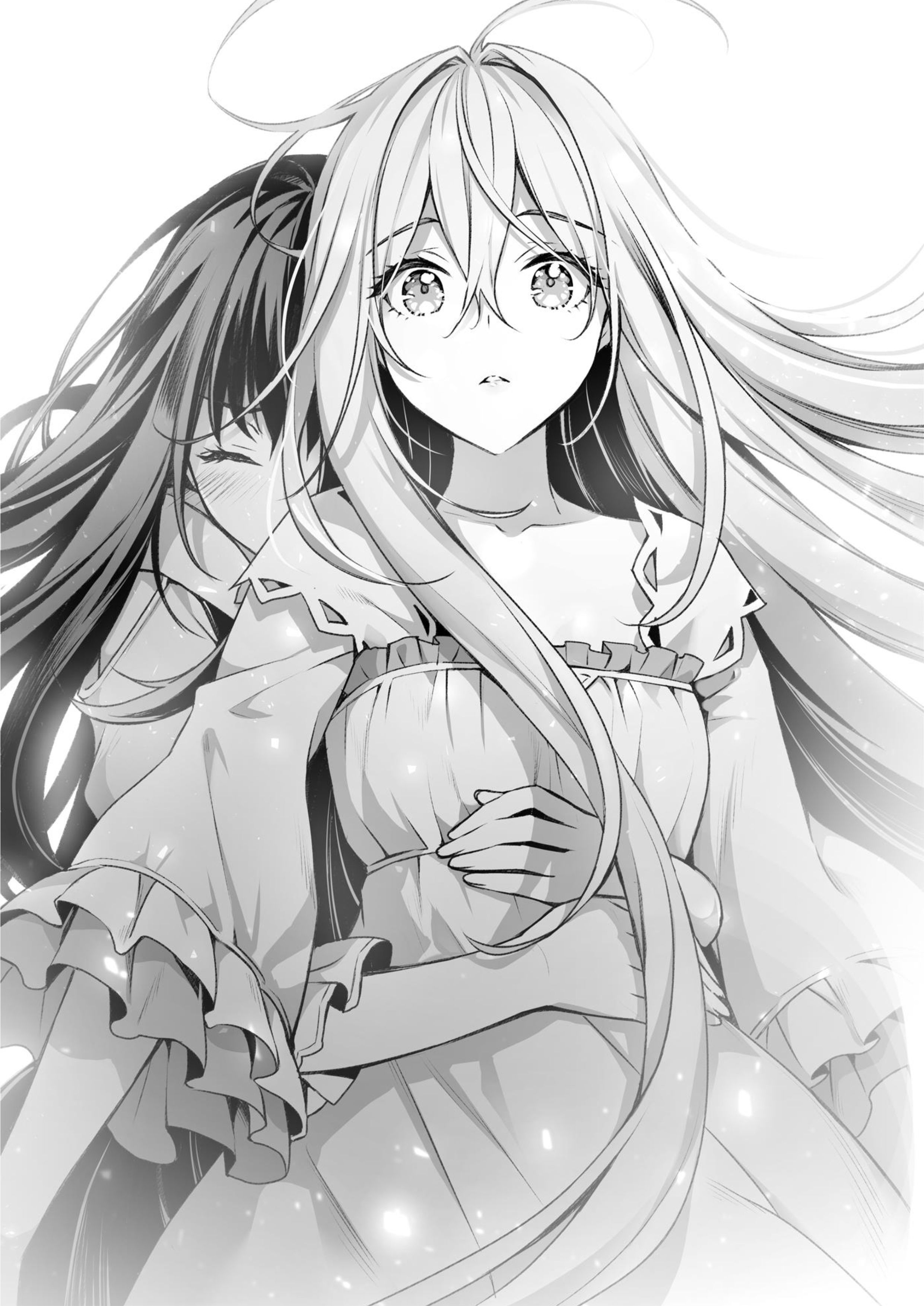 Seirei Gensouki V20 Illustration - Megumi Novel