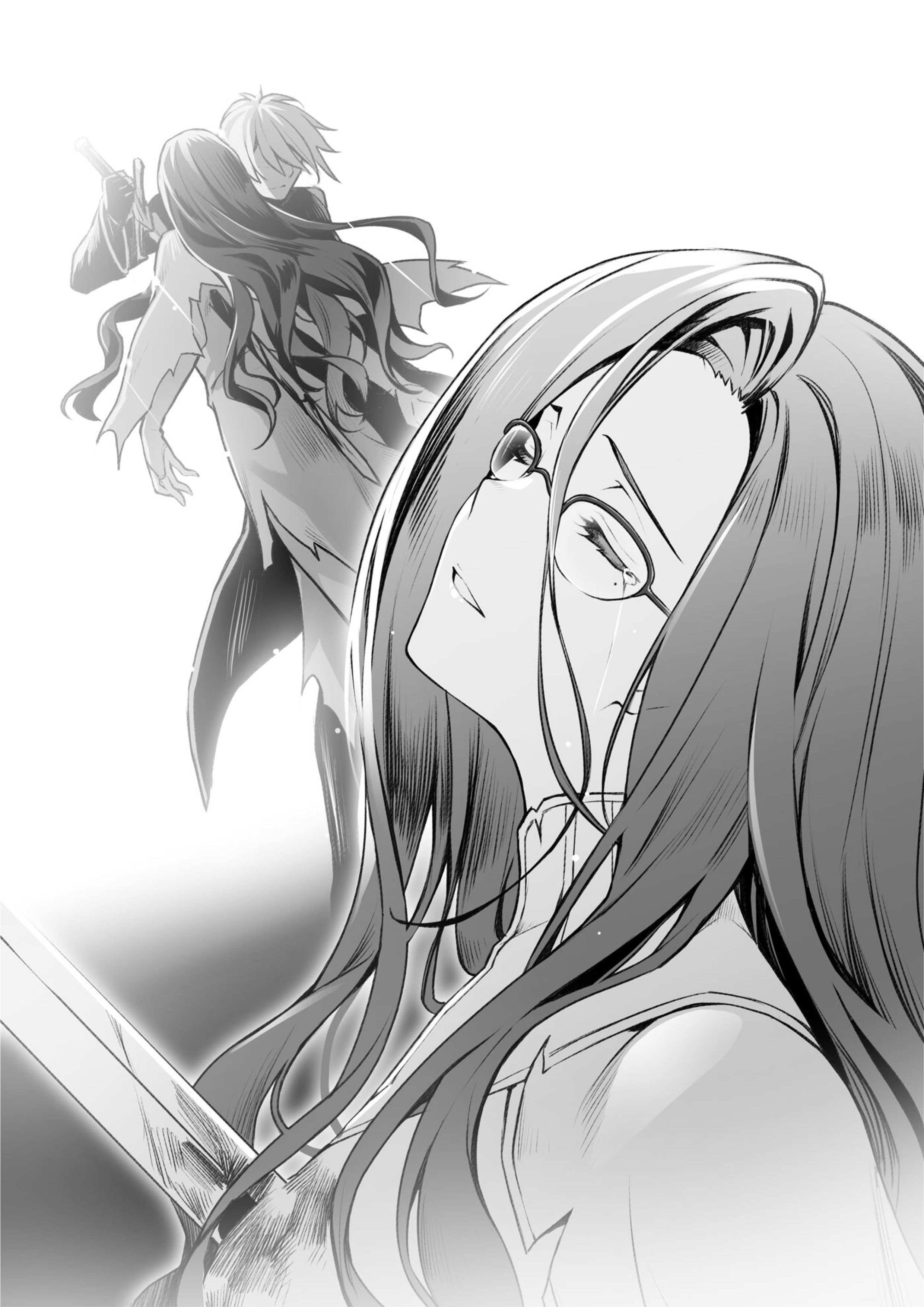 Seirei Gensouki V20 Illustration - Megumi Novel